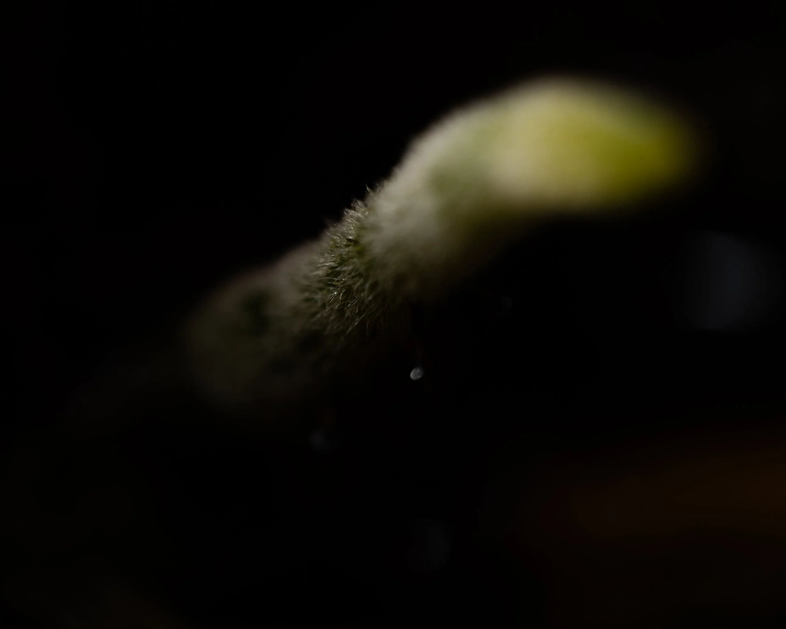 System emerging
