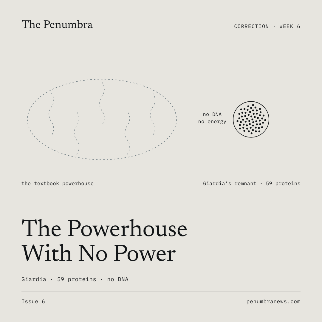 The Powerhouse With No Power