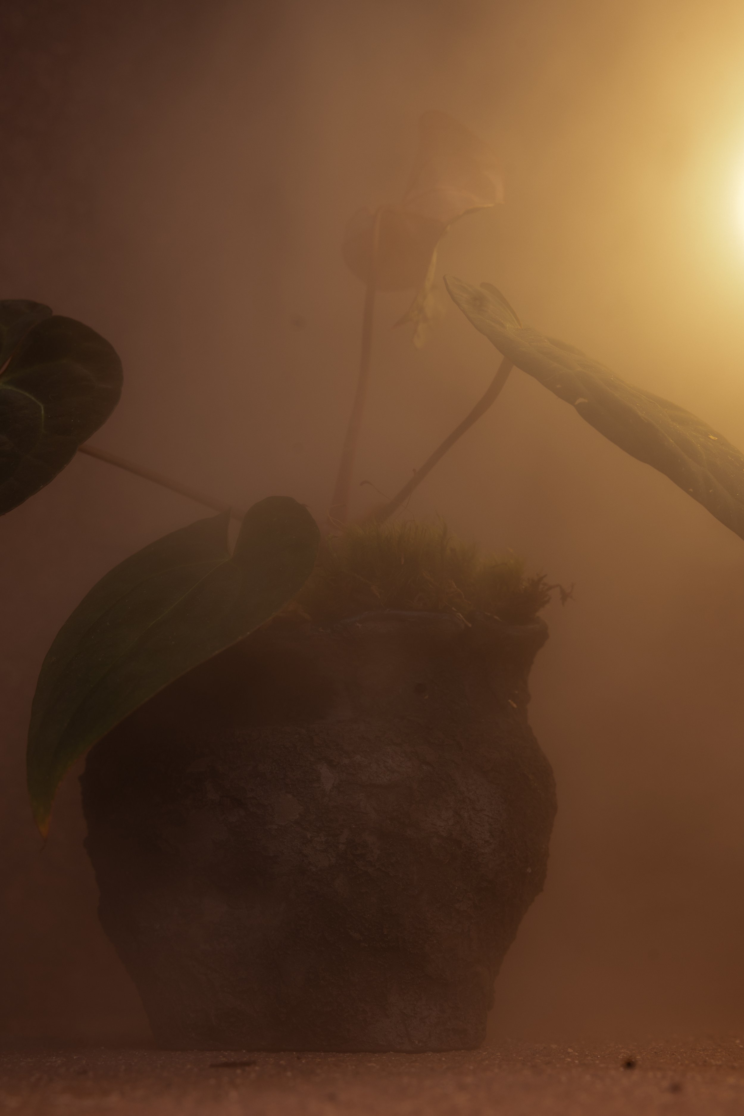 black clay and warm light