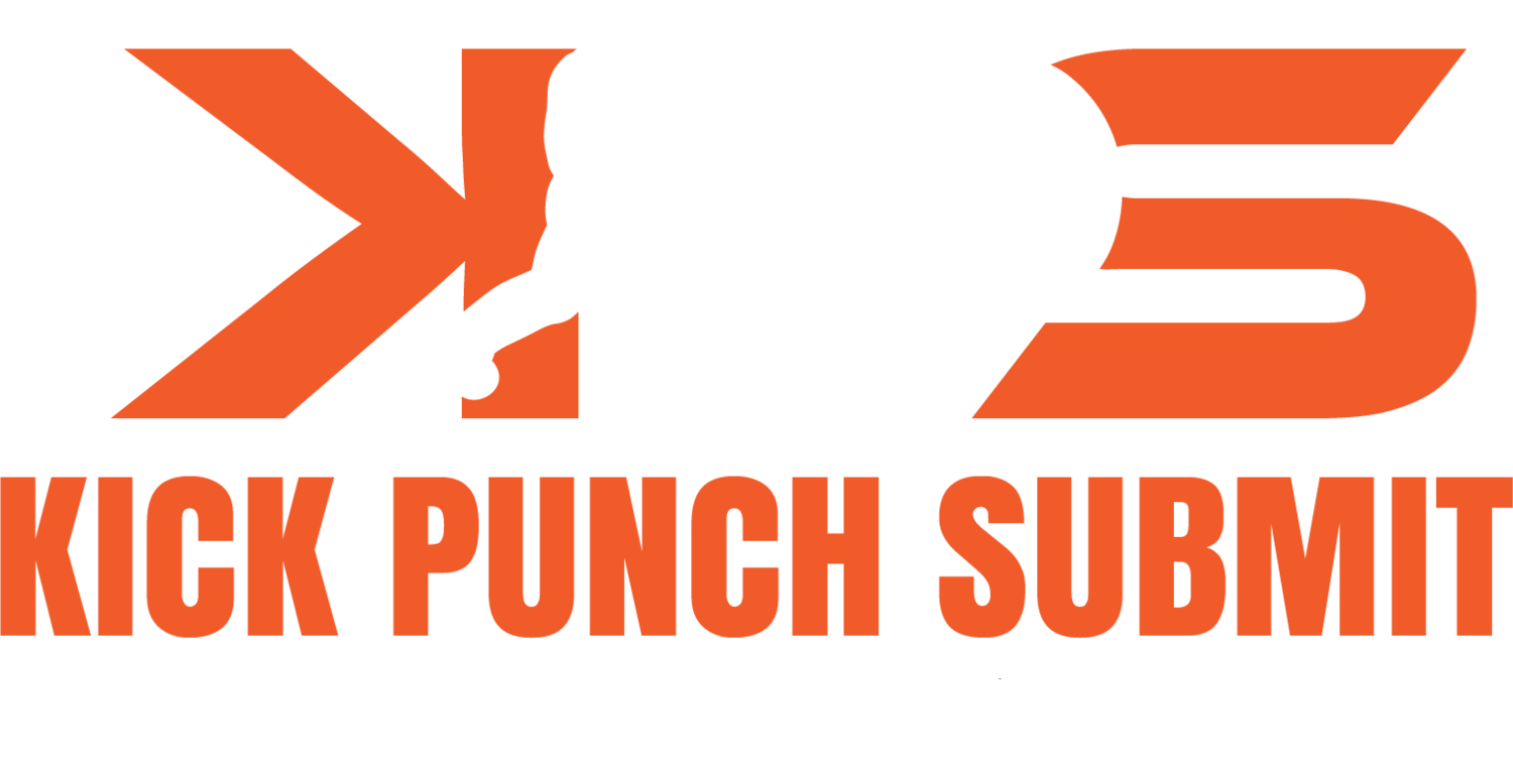Kick Punch Submit