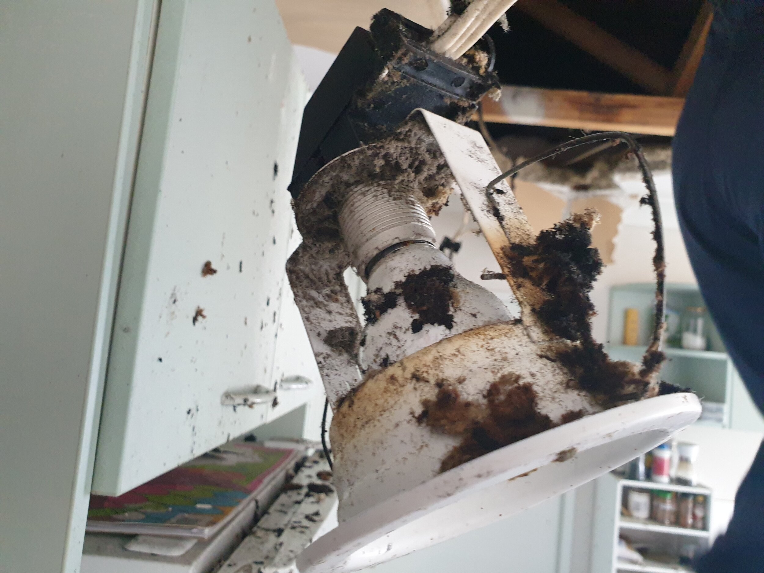 Downlight next to where a fire broke out.