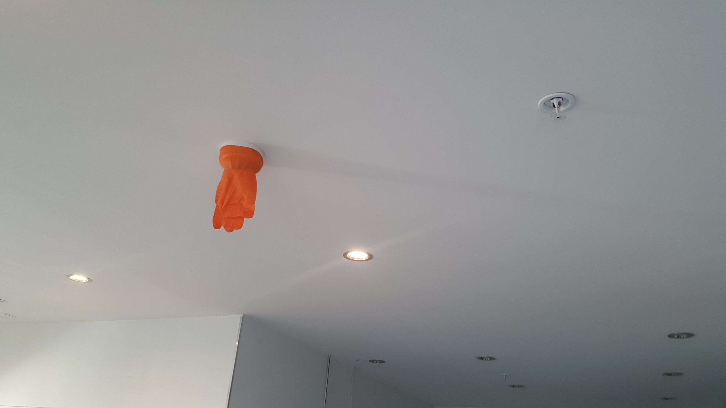 Latex glove over the smoke detector.