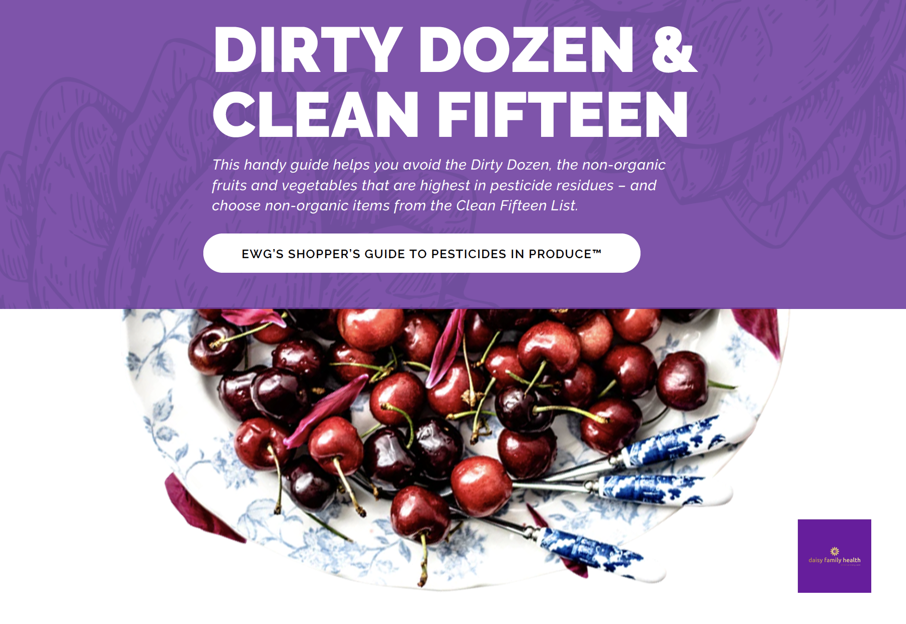 Dirty Dozen Clean Fifteen Guide