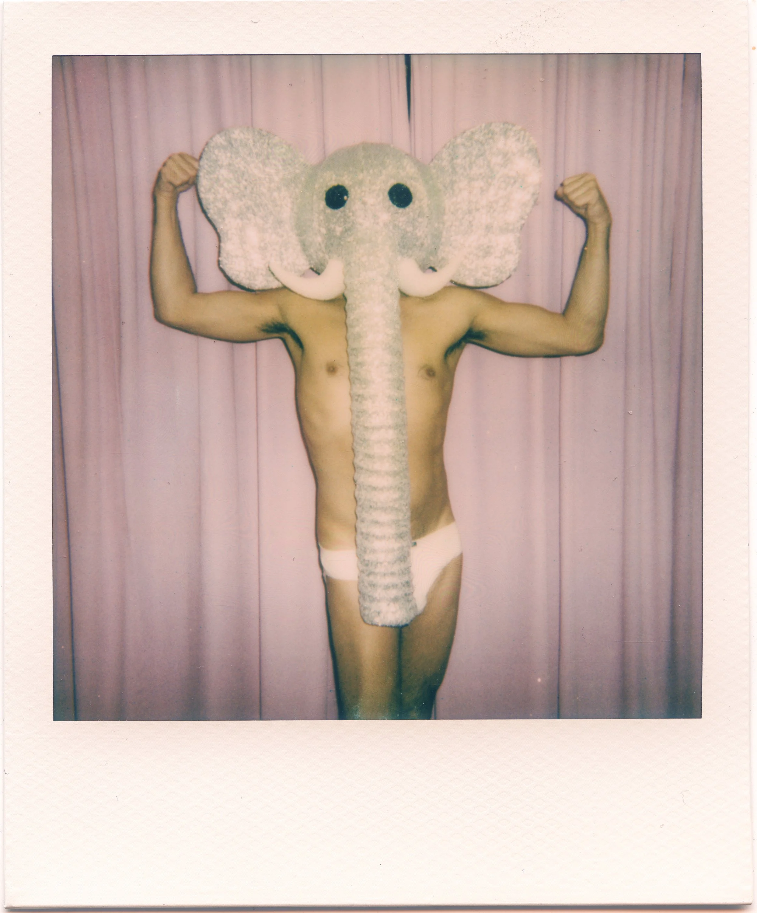 ELEPHANT IN THE ROOM.jpg