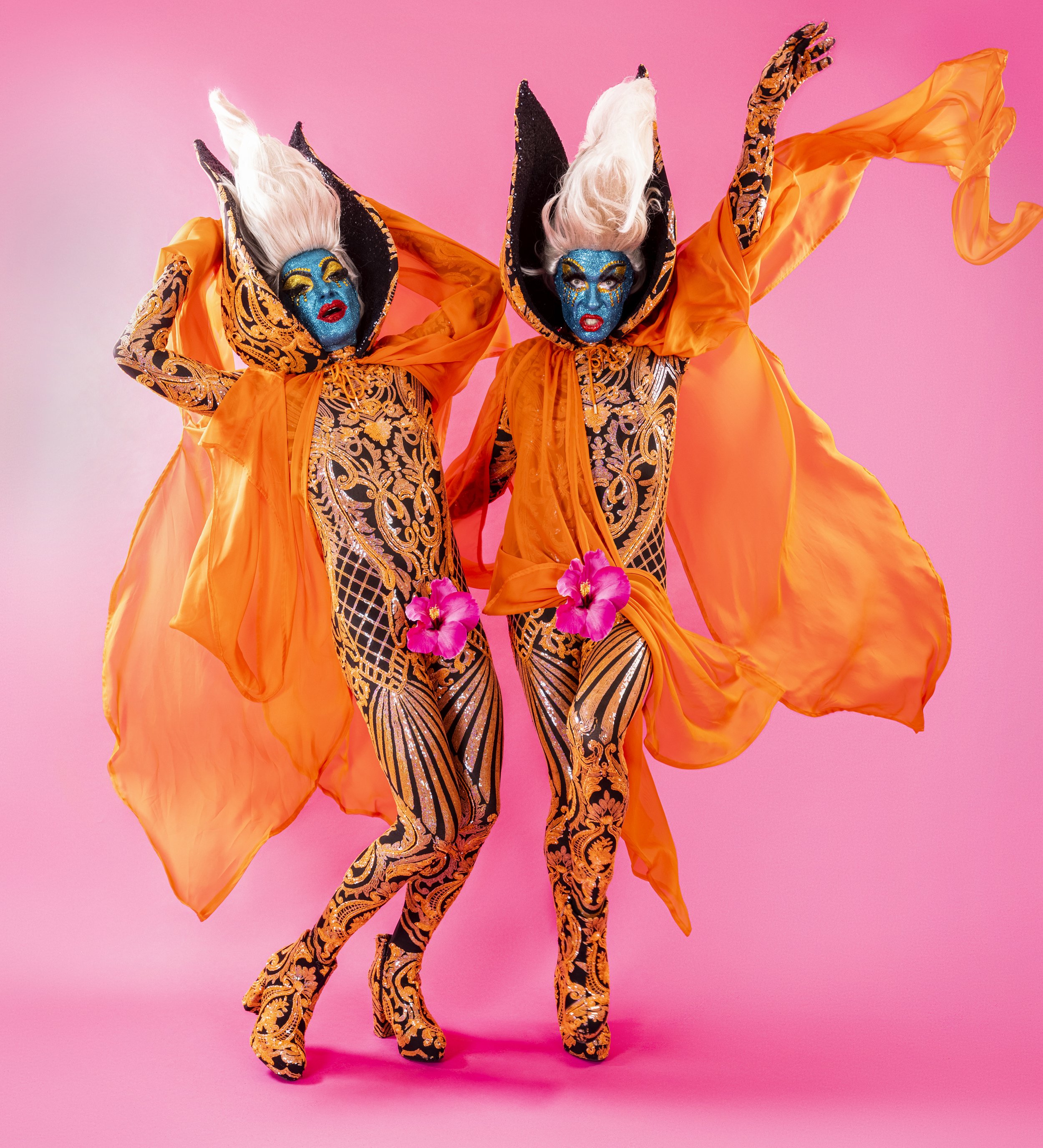 Hibiscus