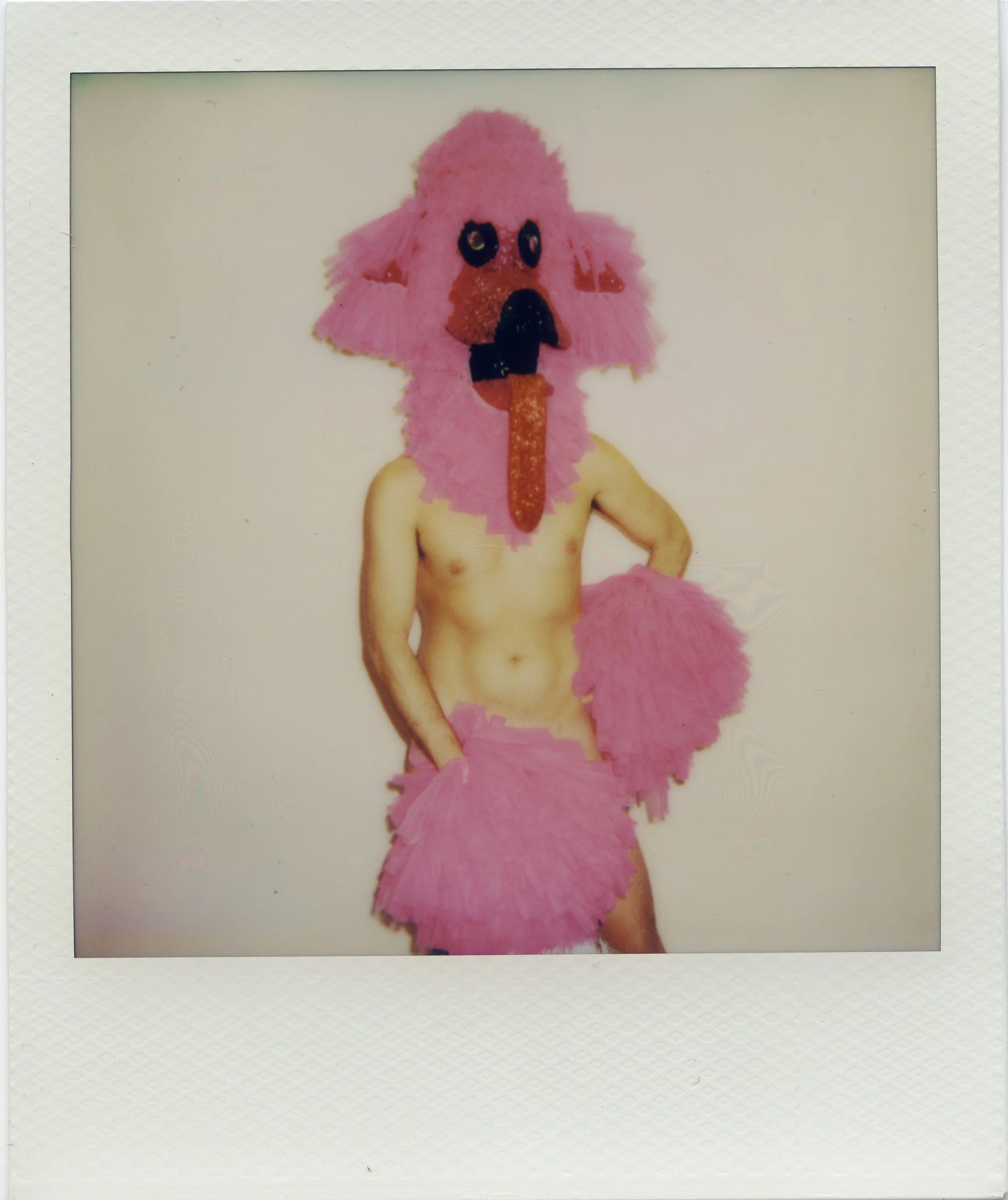 POODLE.jpg