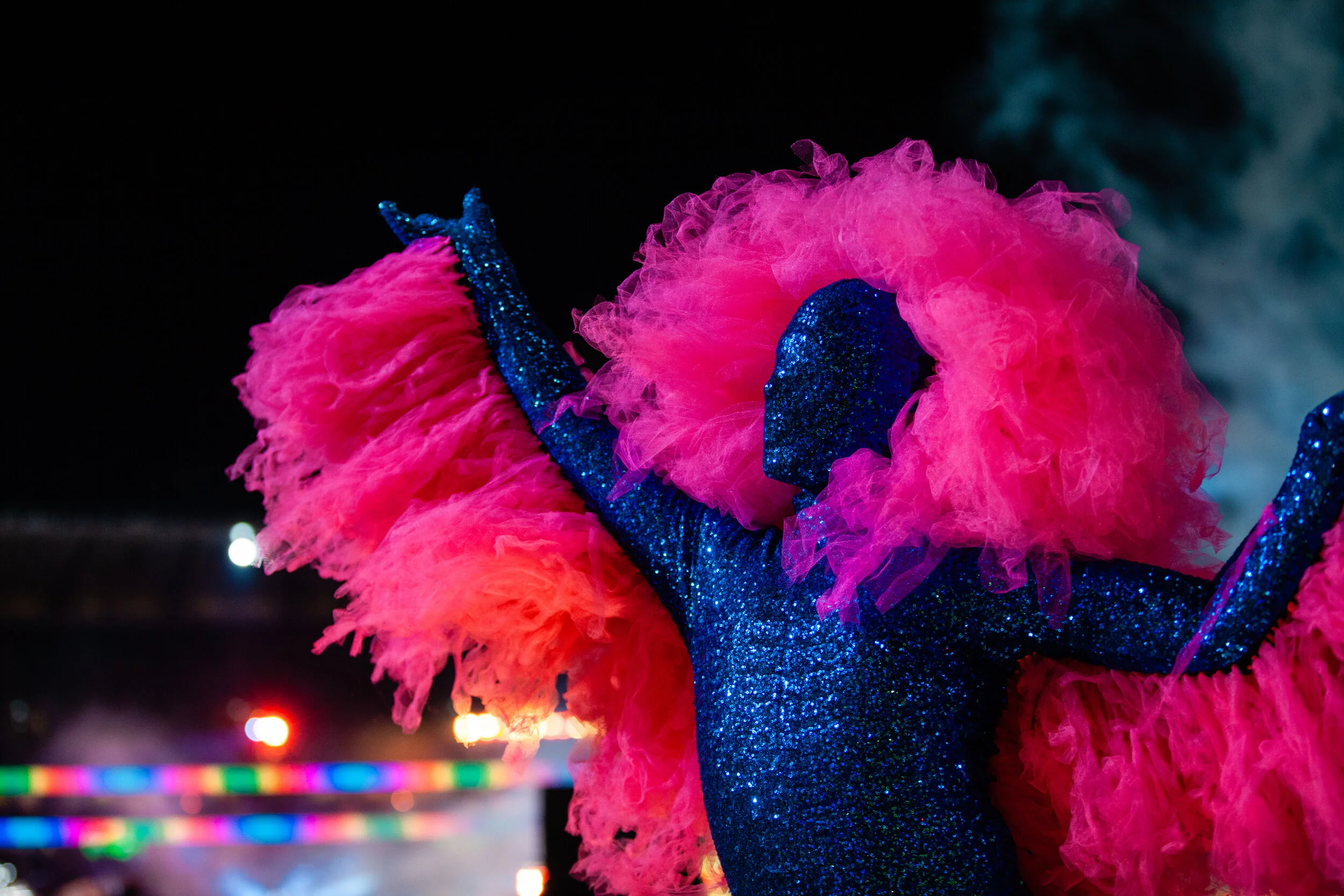 Mardi Gras Stan-9382.jpg