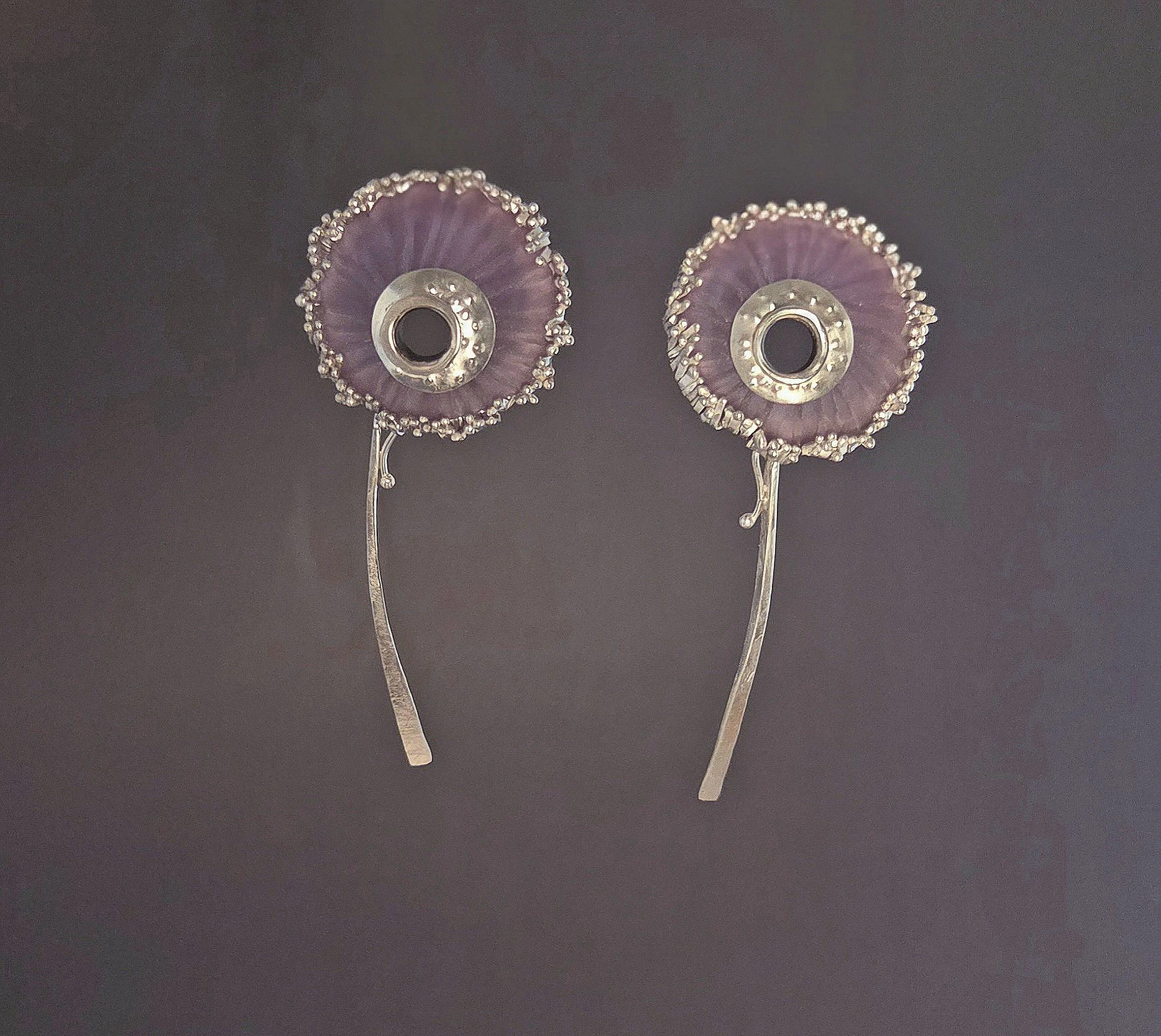taraxacum ers.jpg