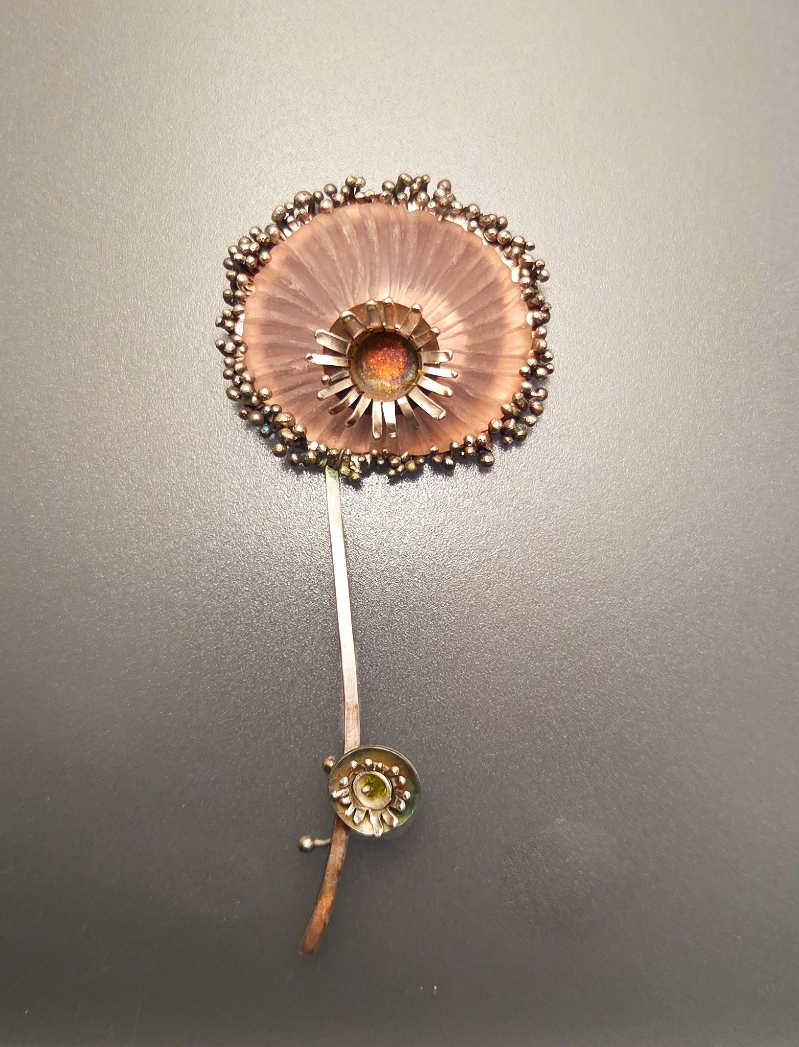 Taraxacum.jpg
