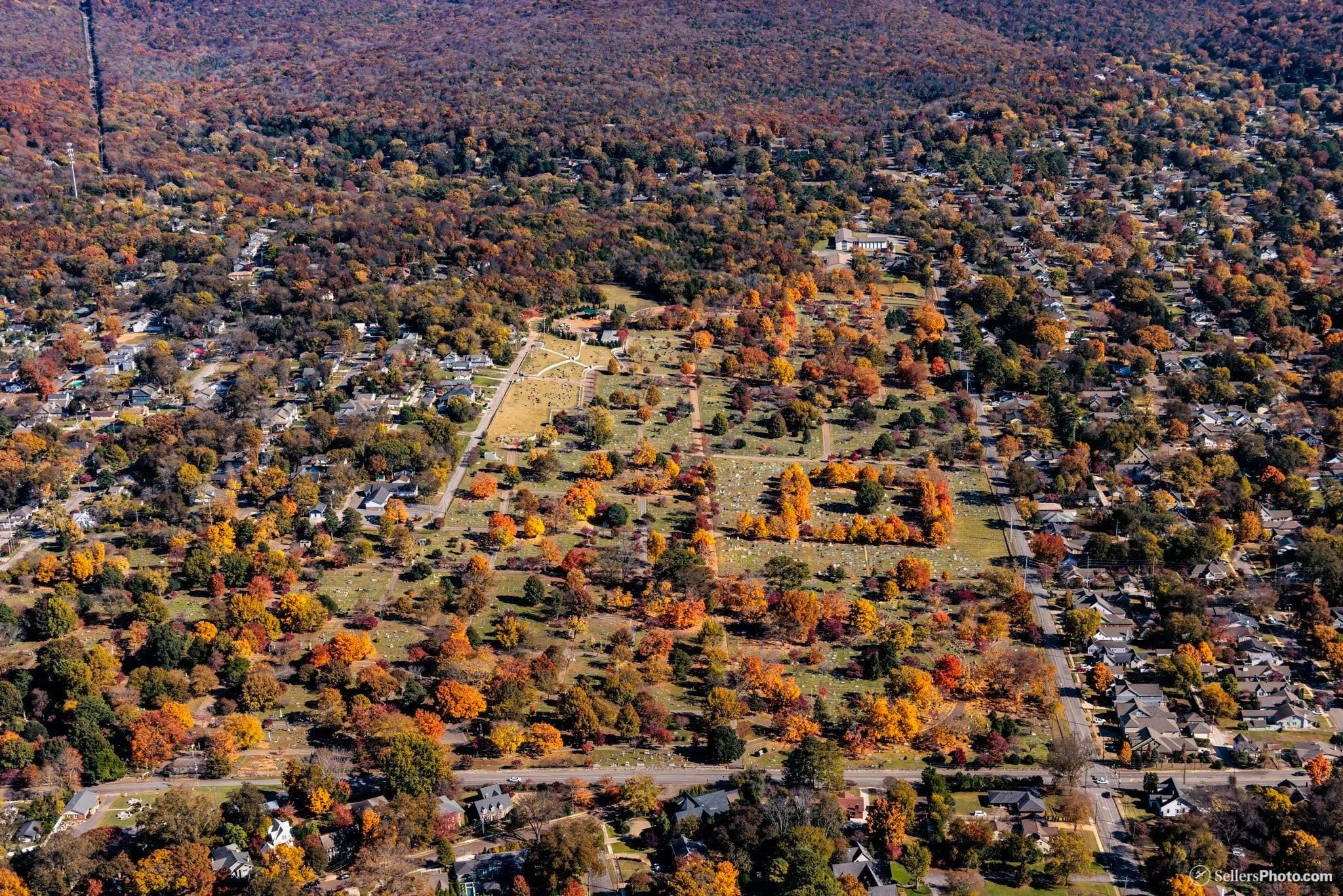 Newsletter: November 19, 2021