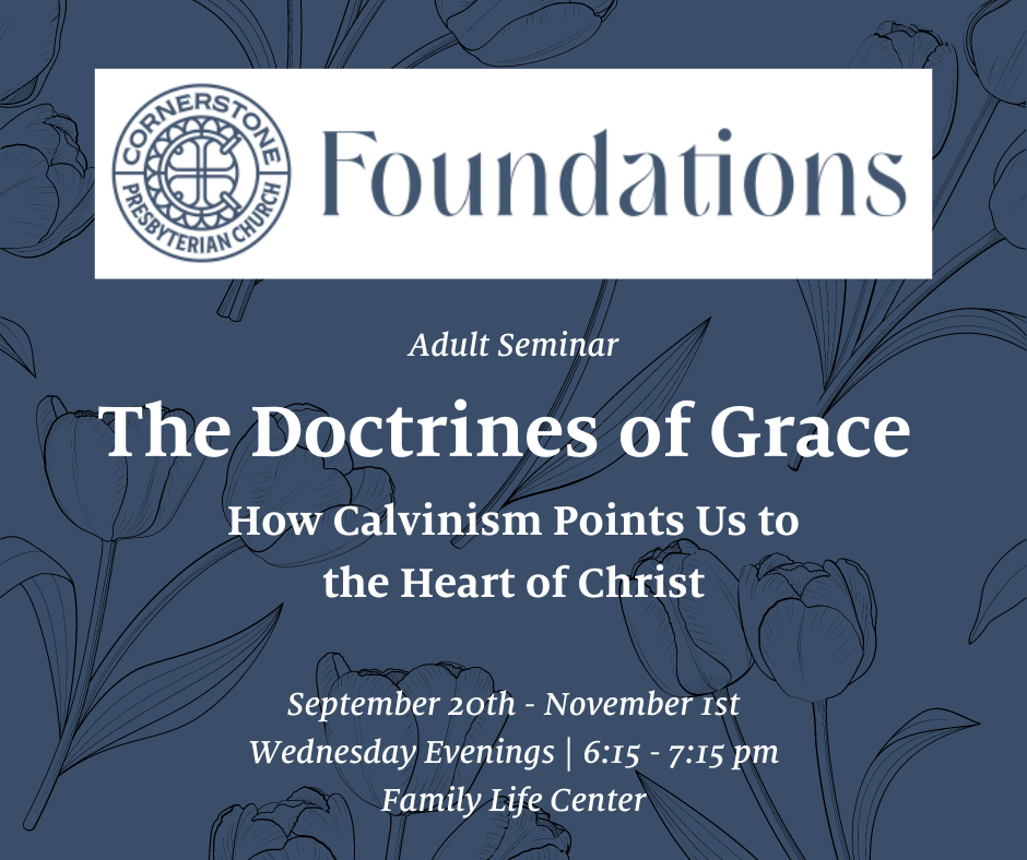 Newsletter September 15, 2023    