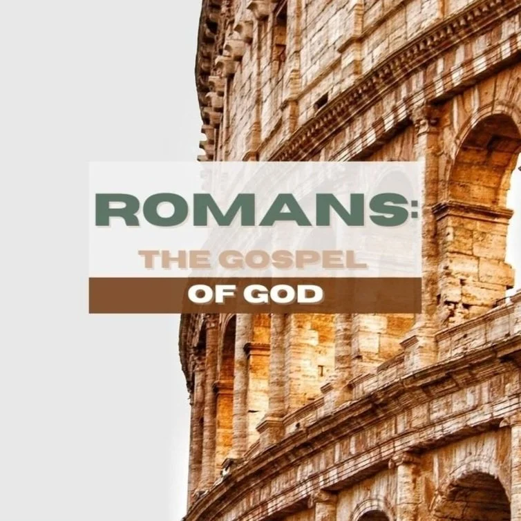 Newsletter May 17, 2024      