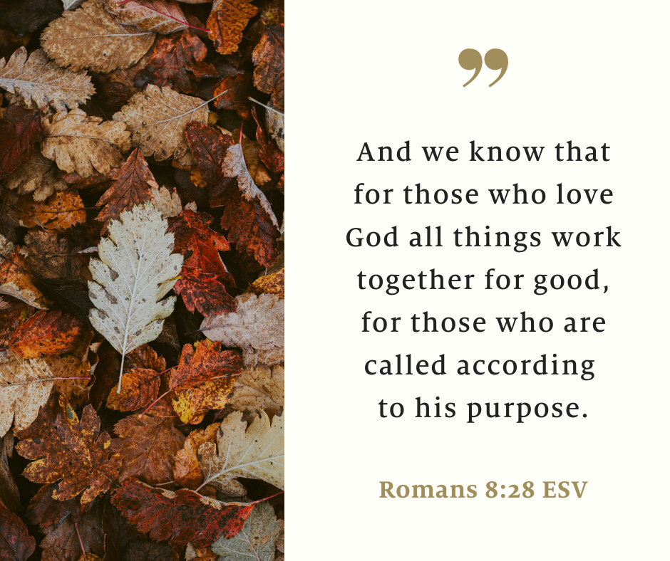 Newsletter November 3, 2023   