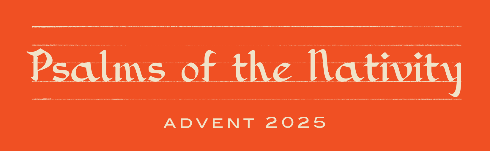 Newsletter November 28, 2025