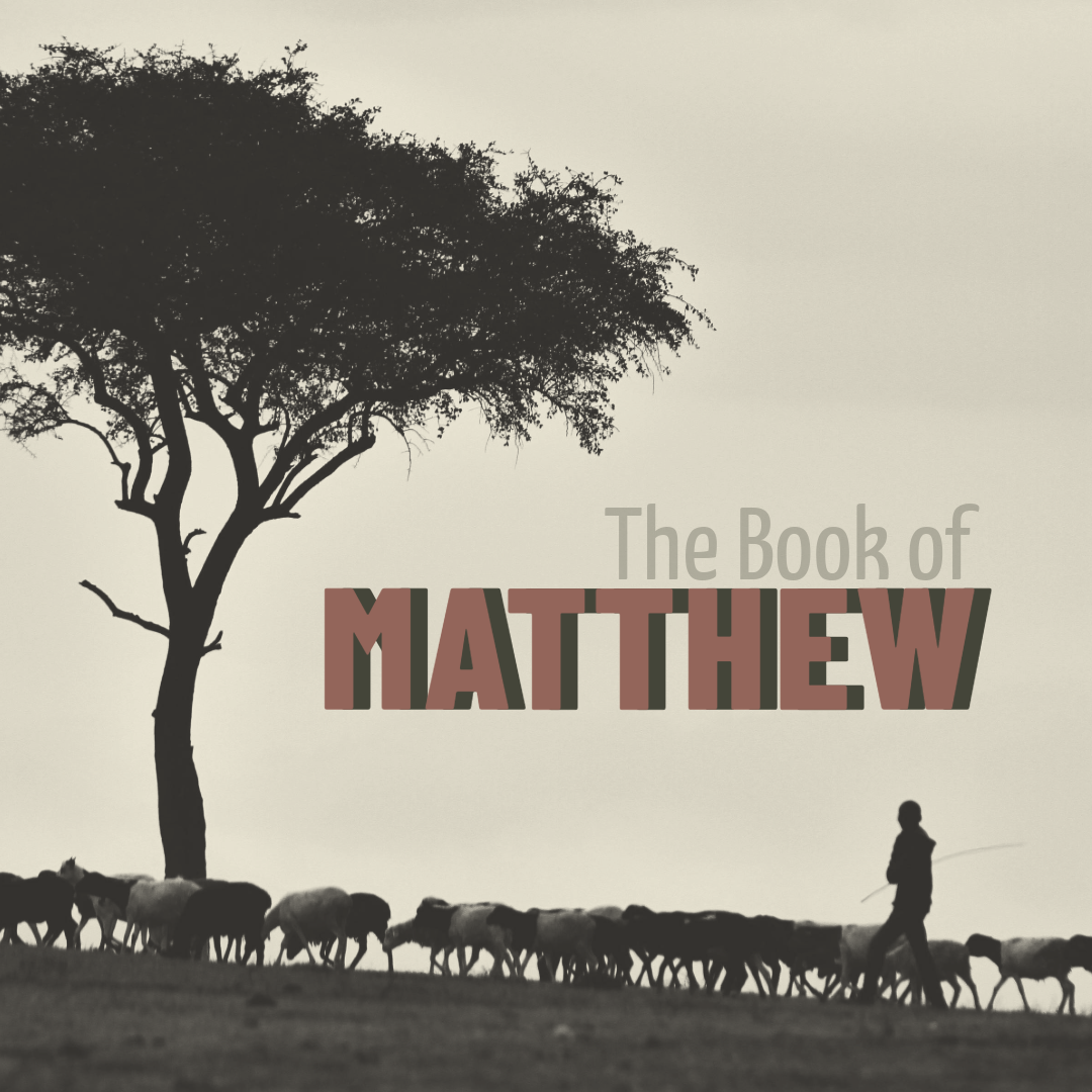 Newsletter May 1, 2026