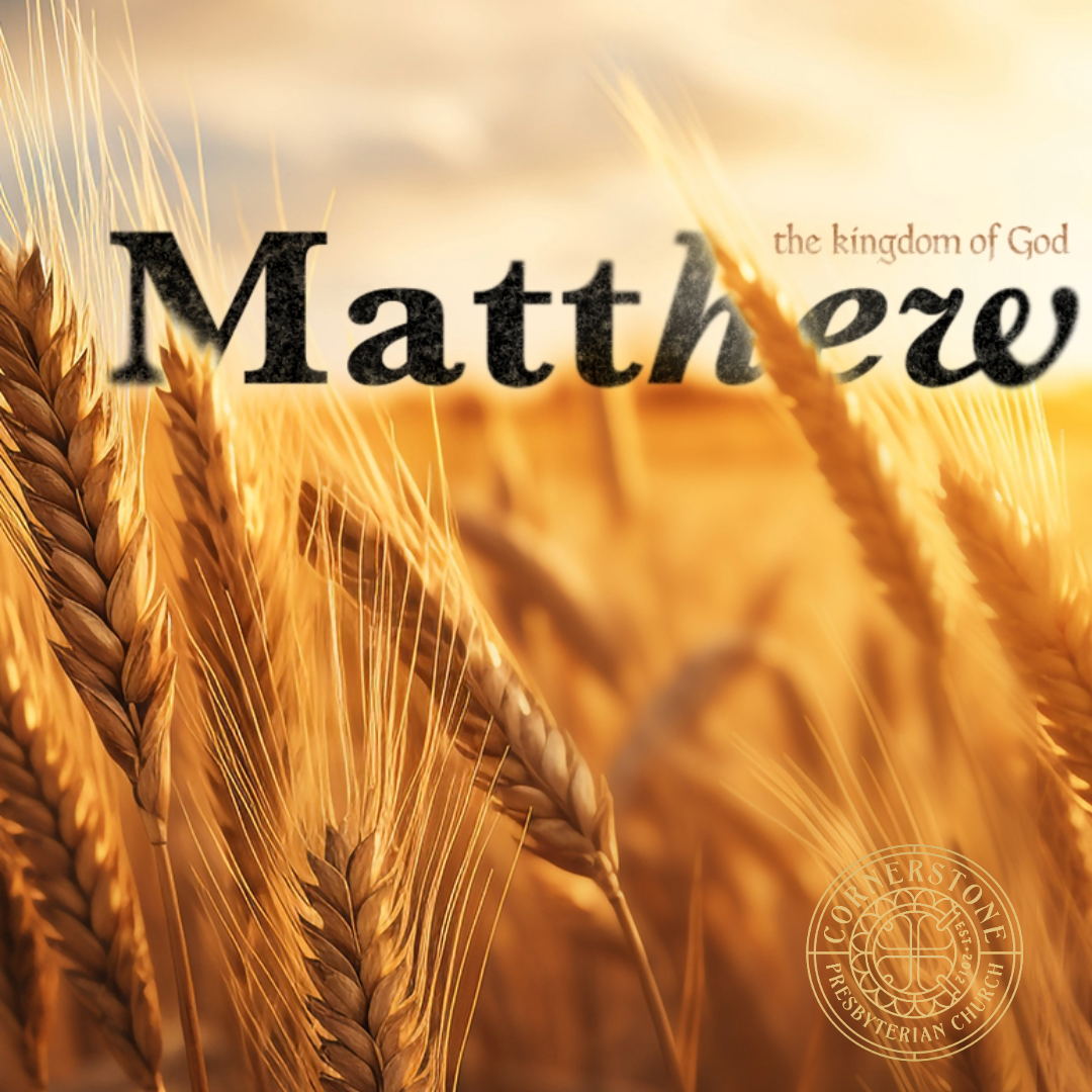 Newsletter August 14, 2026
