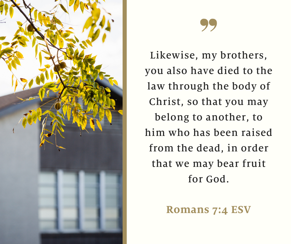 Newsletter August 18, 2023 