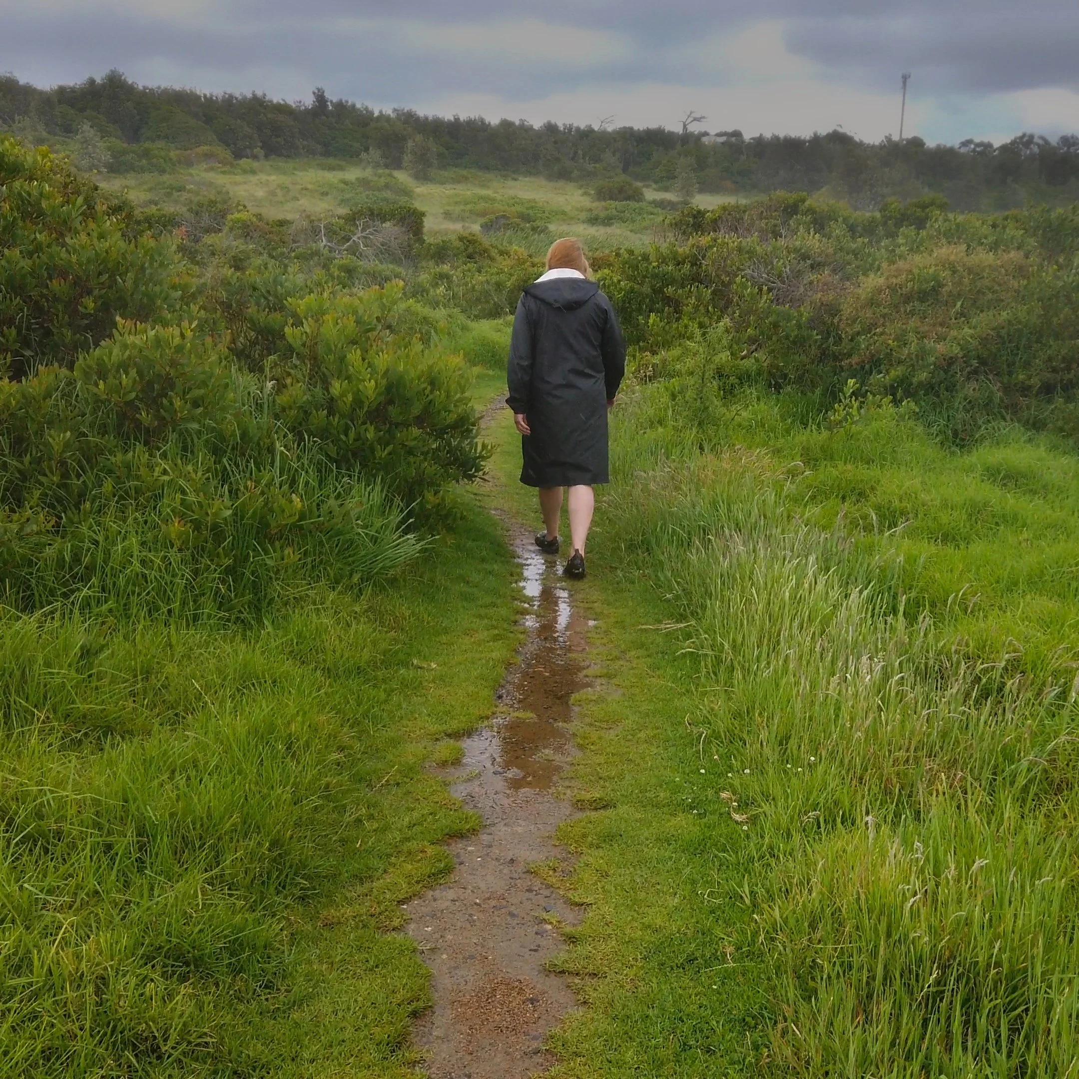 Sequence 03.01_01_25_45.Still028.jpeg