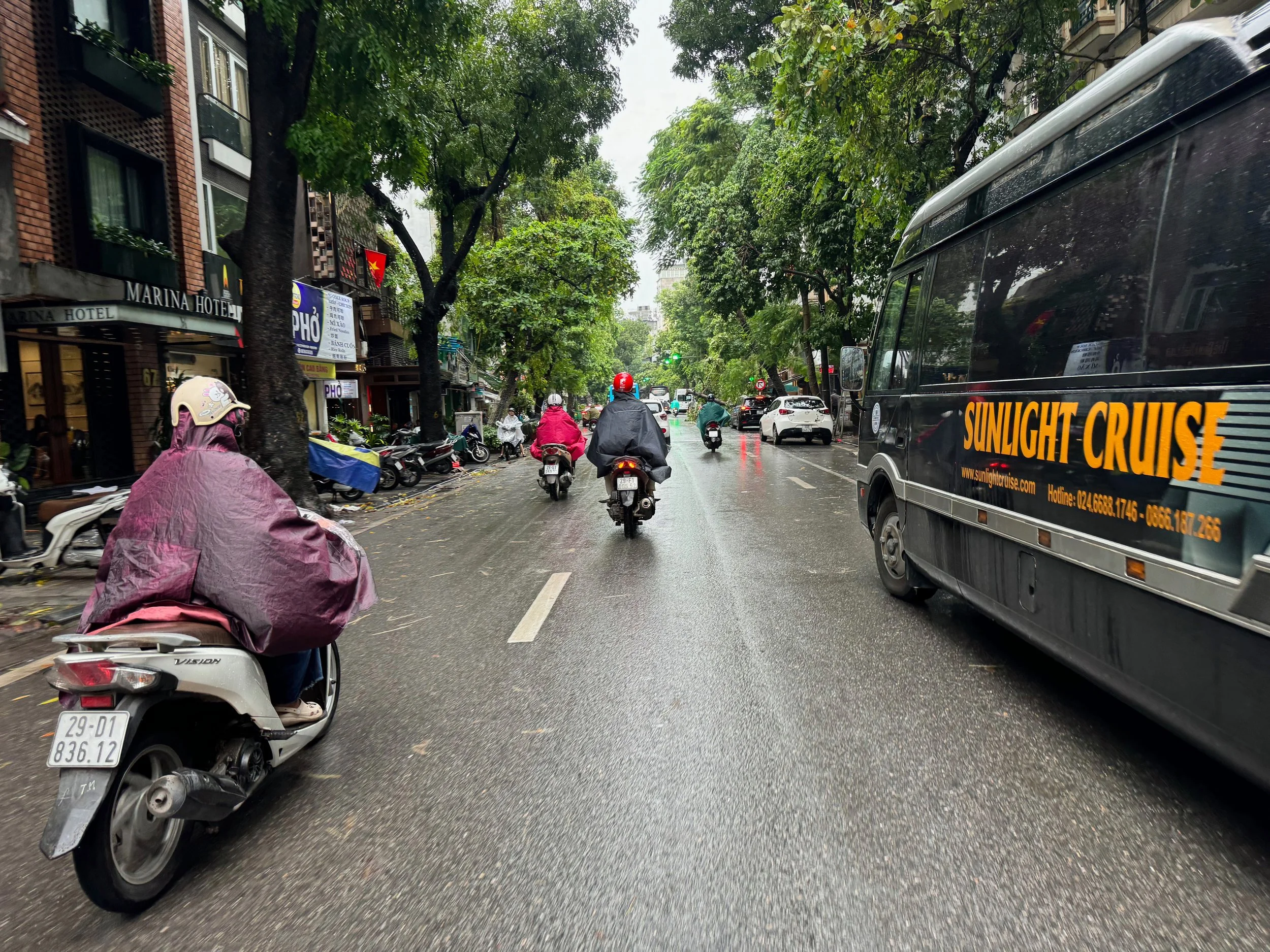 IMG_8643 small.jpeg