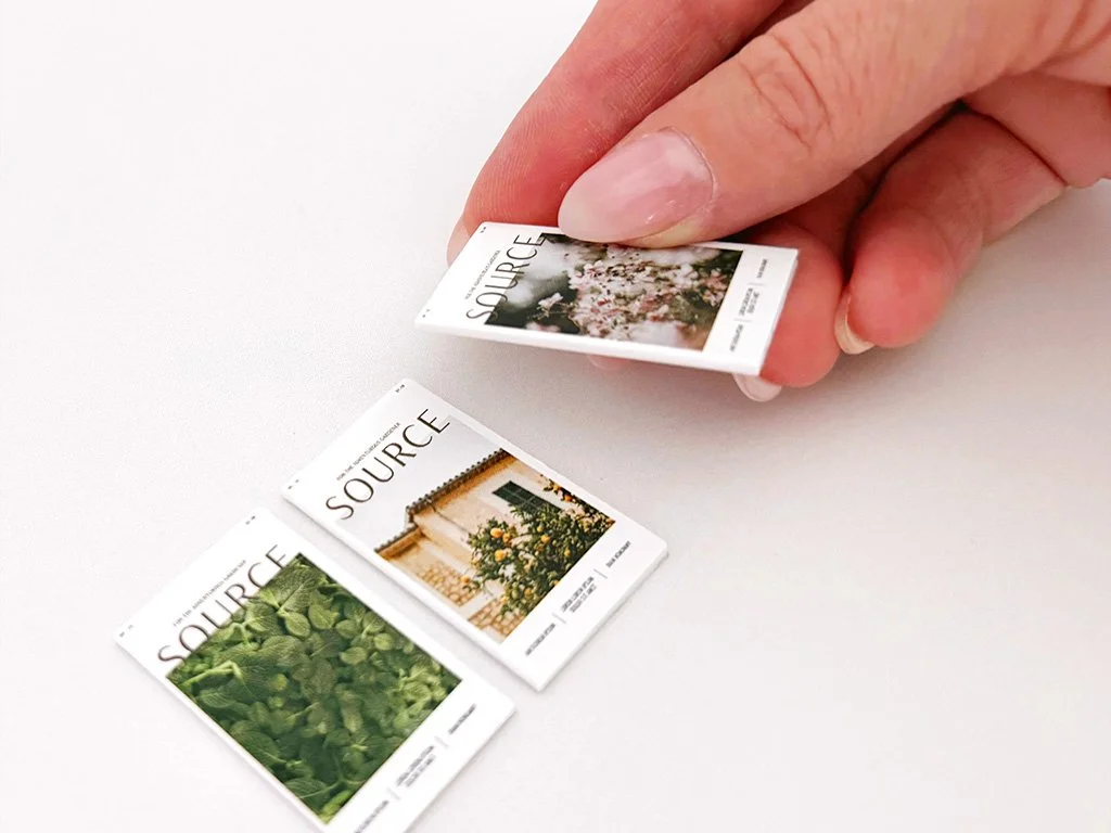 Miniature garden magazines shown for scale