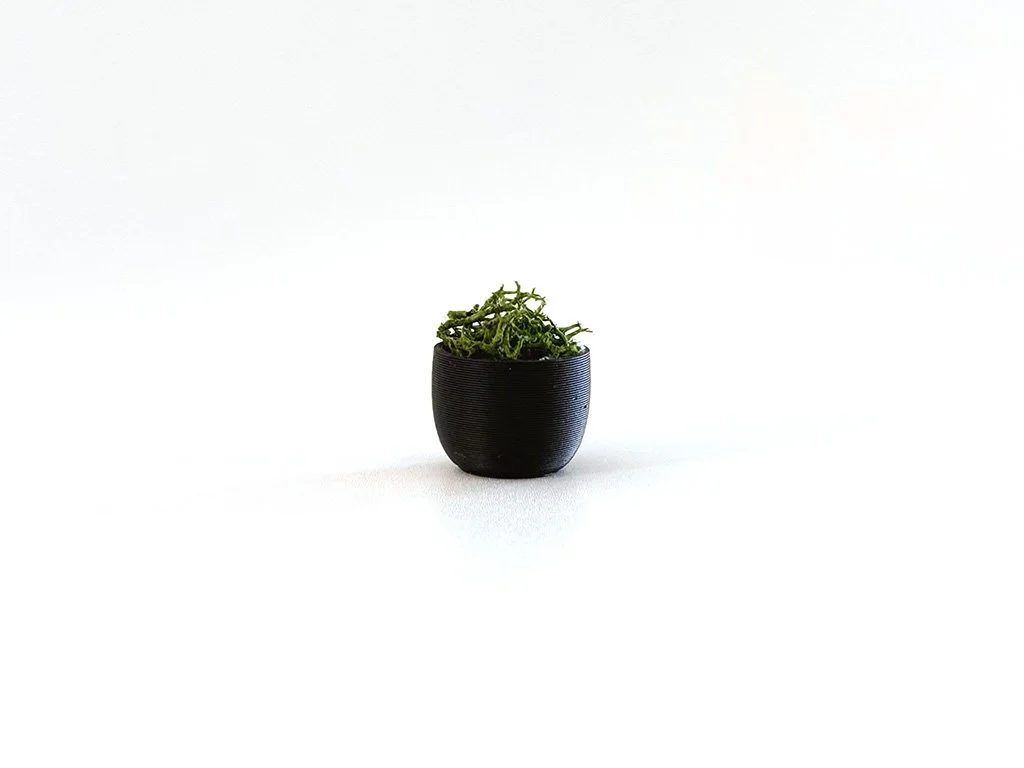 Miniature Moss Bowl