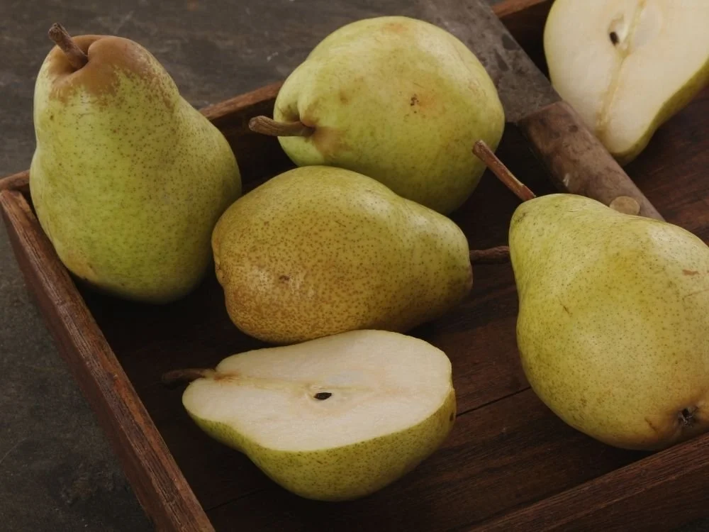 Group of 4 fresh pairs on a tray plus a fifth pear sliced in half.