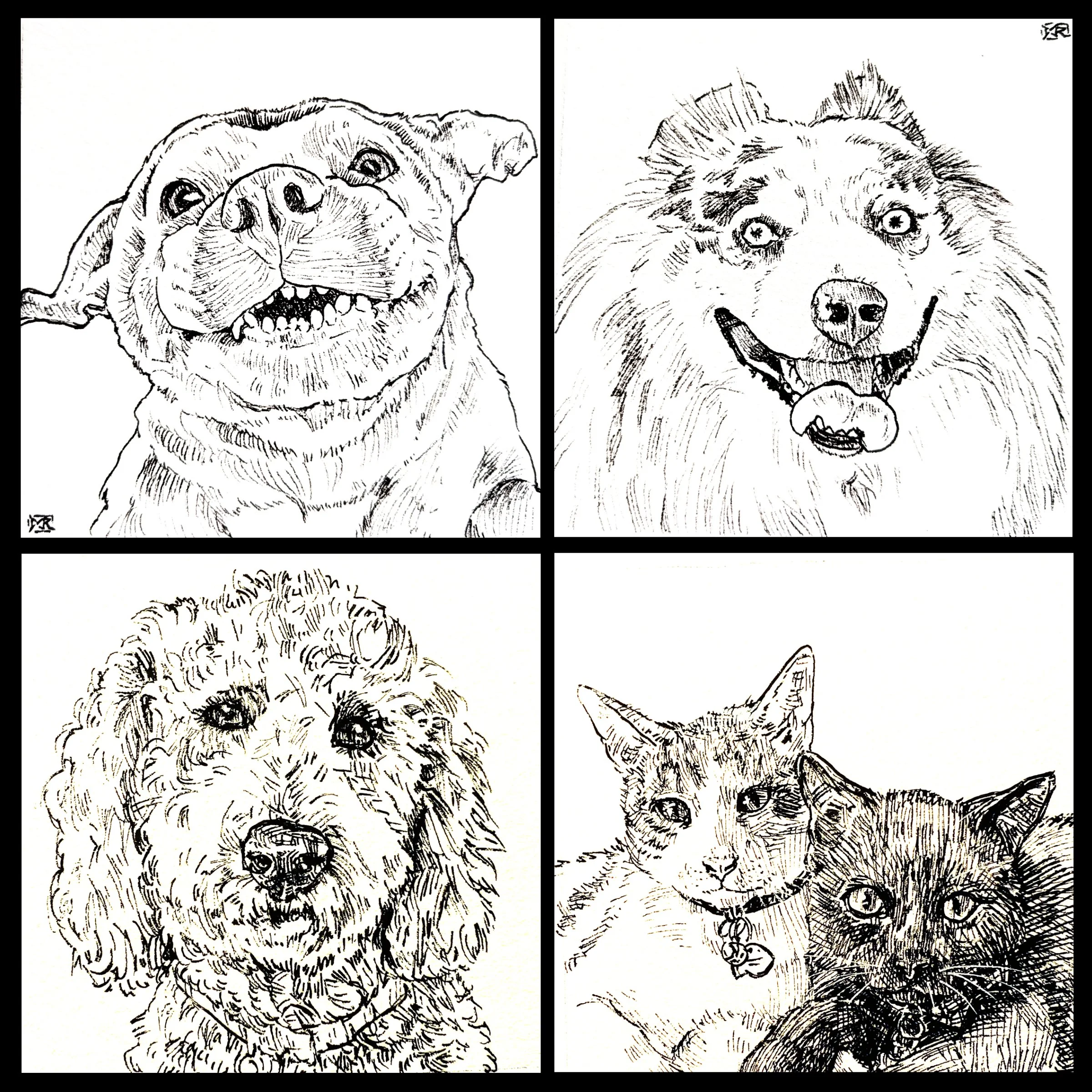 Custom Pet Portrait - Mini 4x4