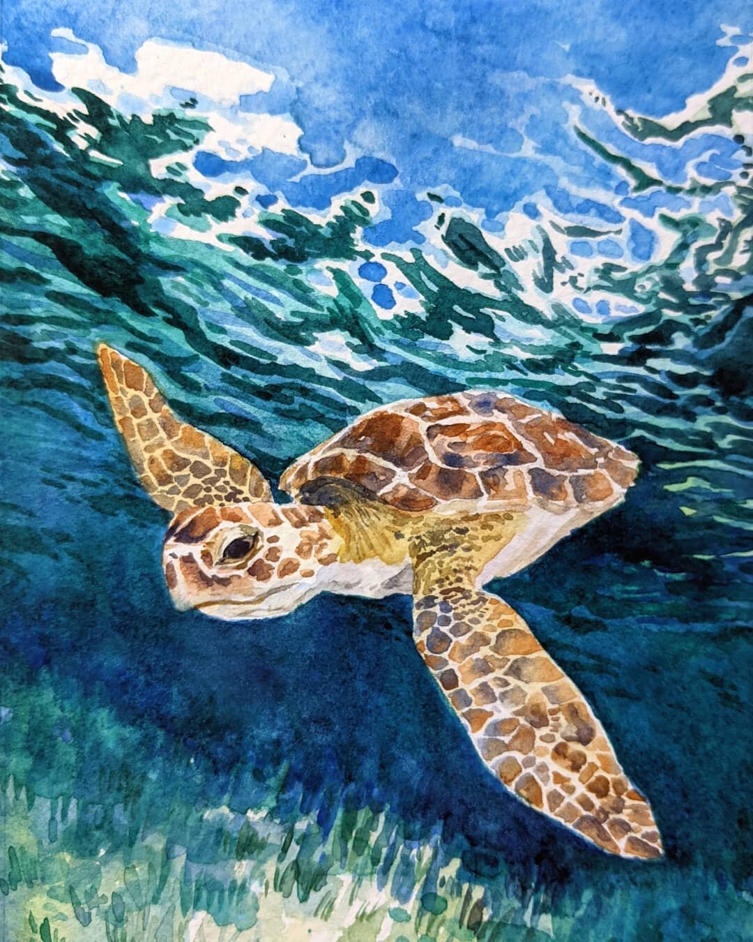 Painted this lovely little fellow for our bathroom. We purchased some Phthalo green with white bathroom decor and I wanted a painting to go with it! 
I decided to paint a turtle since, as most of you know, that is my fiance Turtle's second favorite a