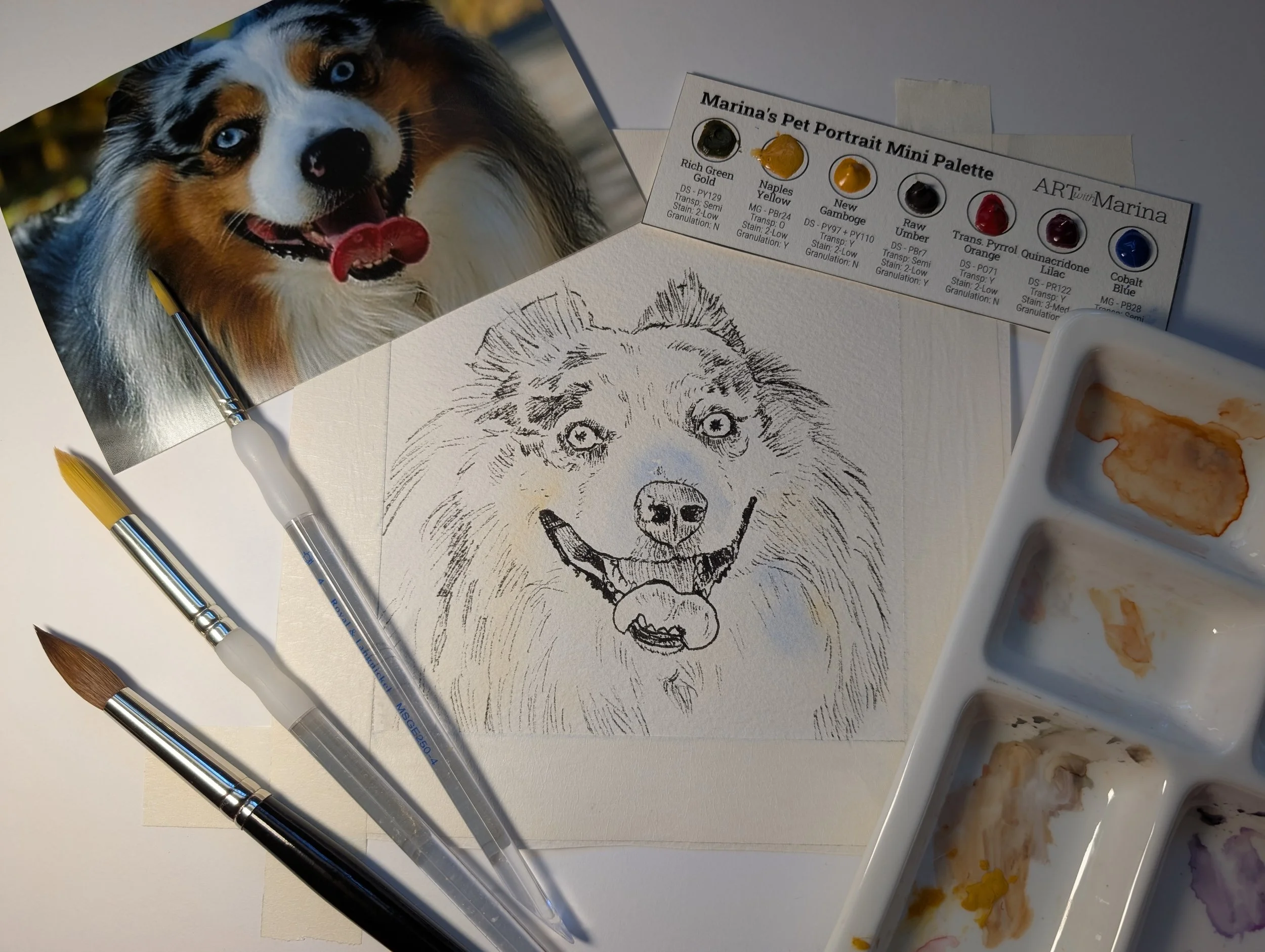 Paint Your Pet Sep 13 @ Barks & Brews (Largo, FL)