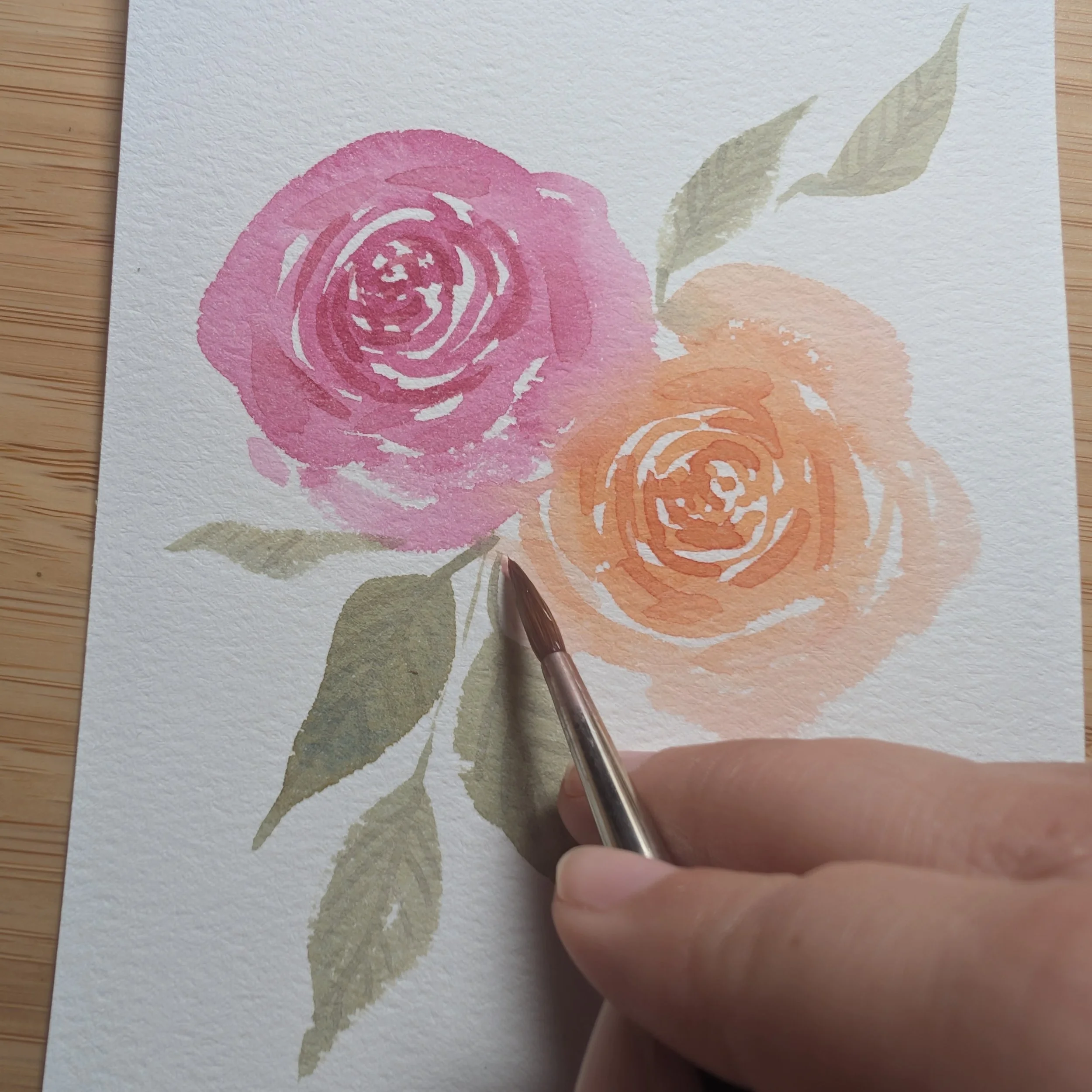 BAC Class: Loose Valentine Roses for Watercolor Beginners