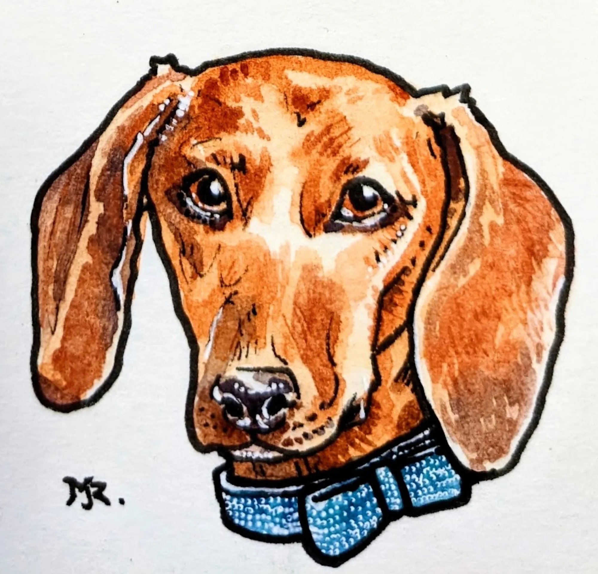 Dachshund.jpg
