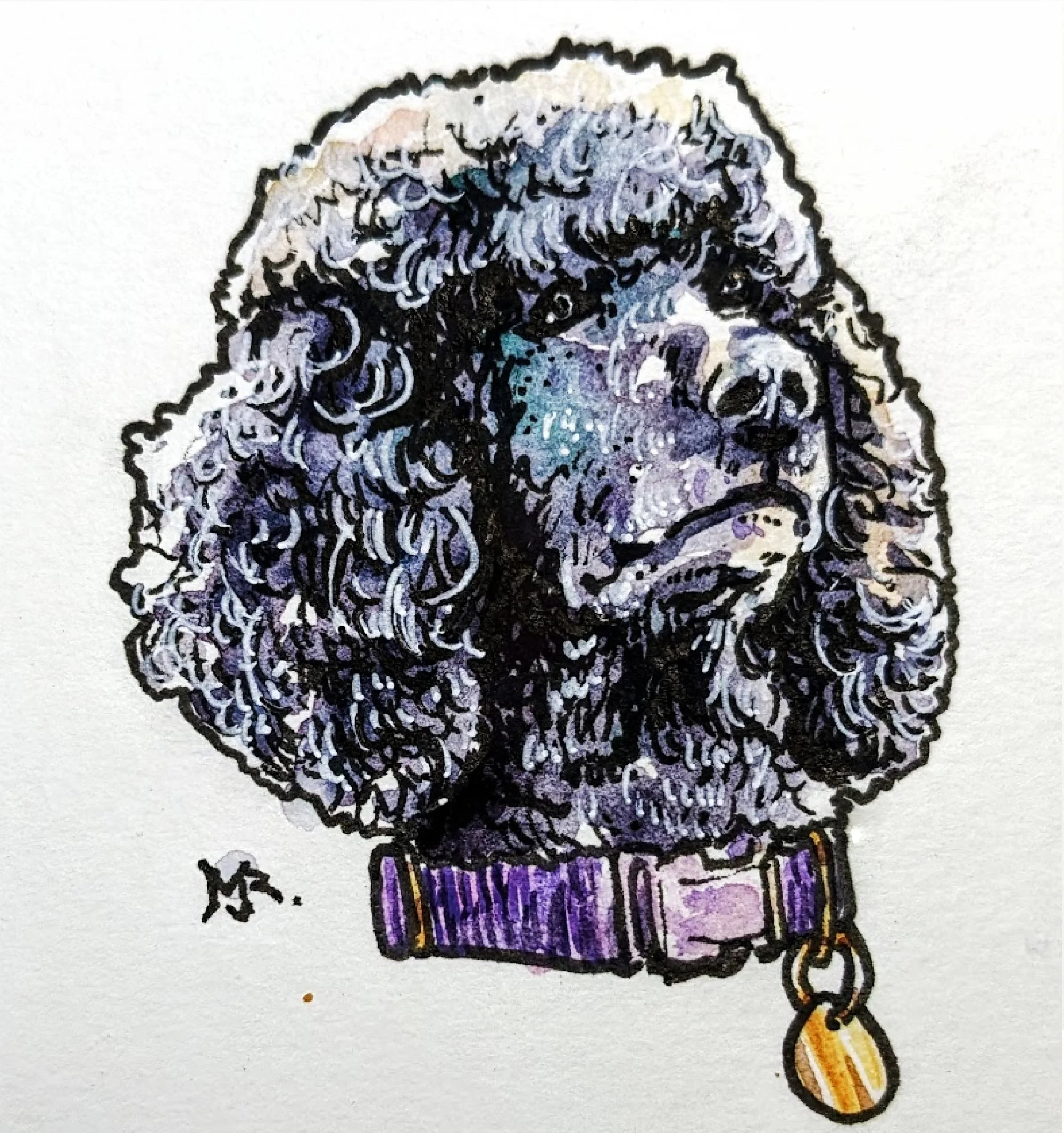 Poodle.jpg