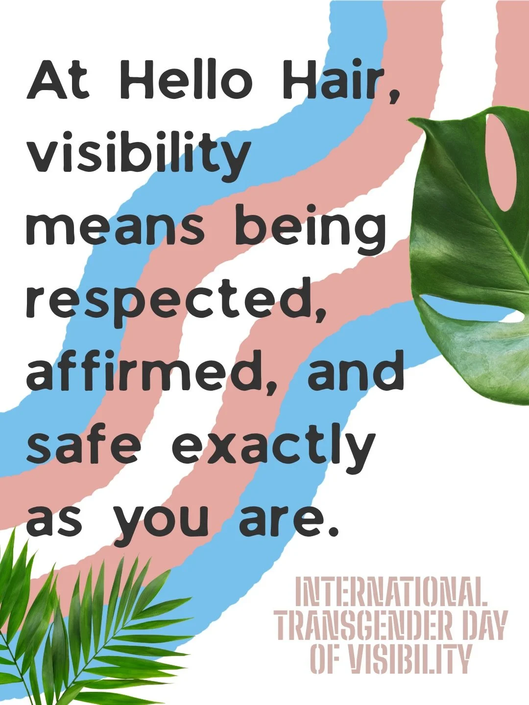 Today we honor International Transgender Day of Visibility 💙🤍💖

At Hello Hair Collective, visibility means more than being seen &mdash; it means being respected, affirmed, and safe exactly as you are.

We are proud to support our transgender and n