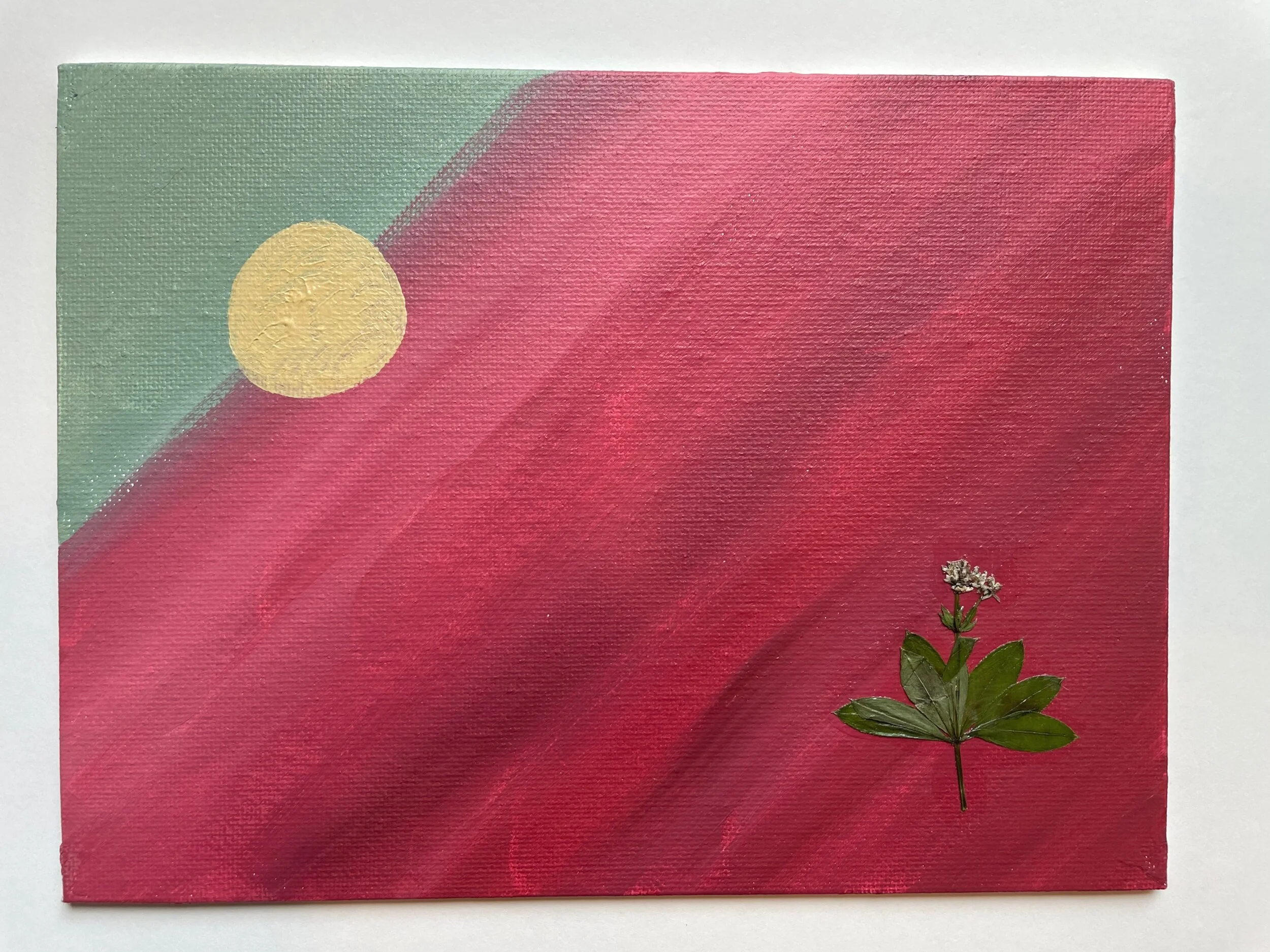 8x5 acrylic on canvas board