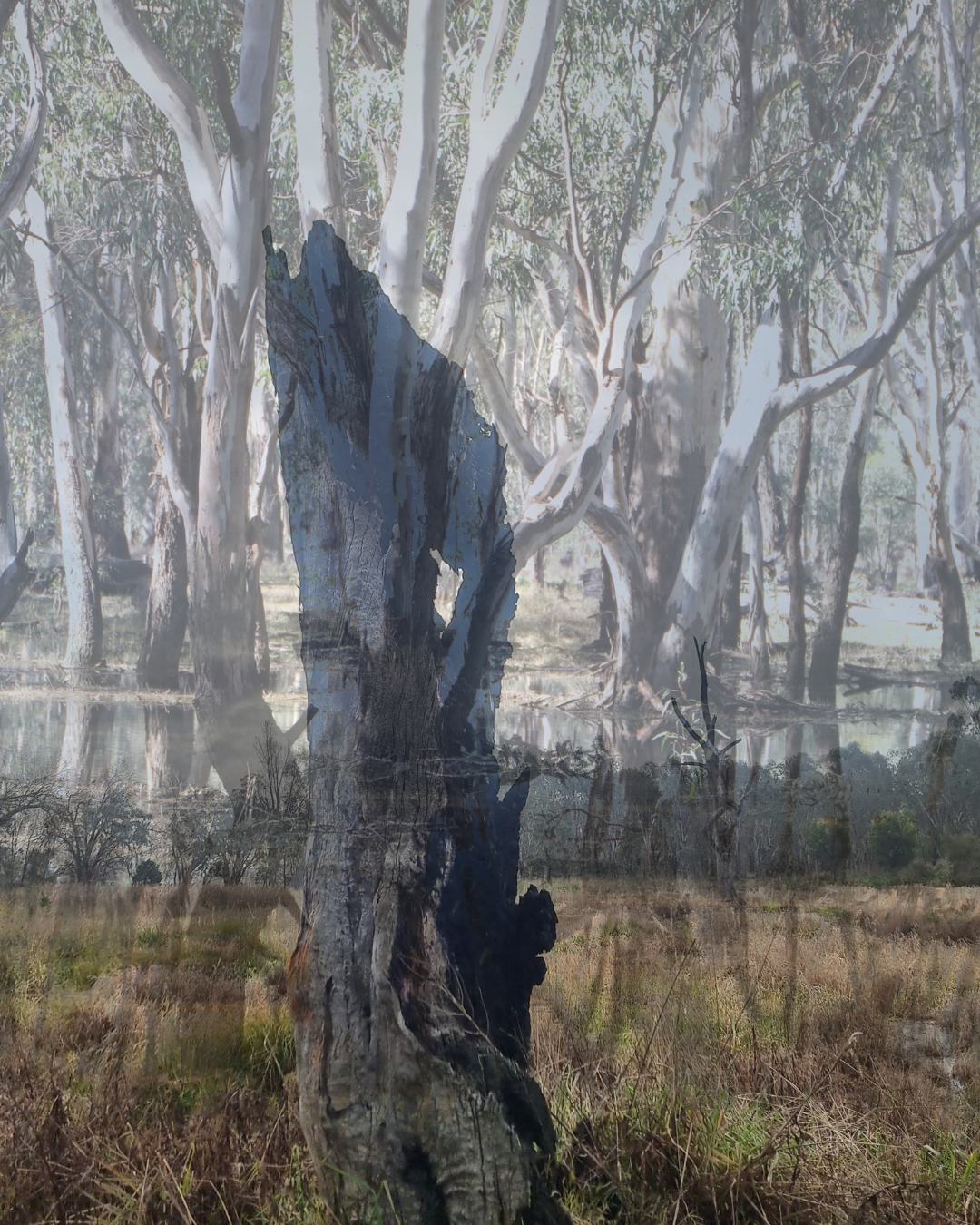 Writing Local: Experiments in Poetry and Place