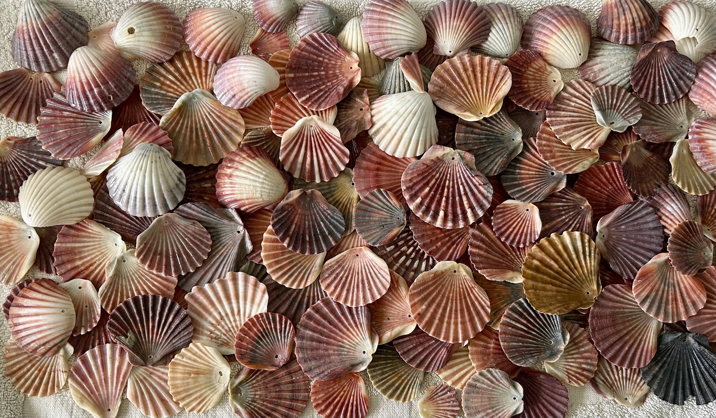 DJINJIMA BARIN (SHELLWORK) EXPERIENCE 