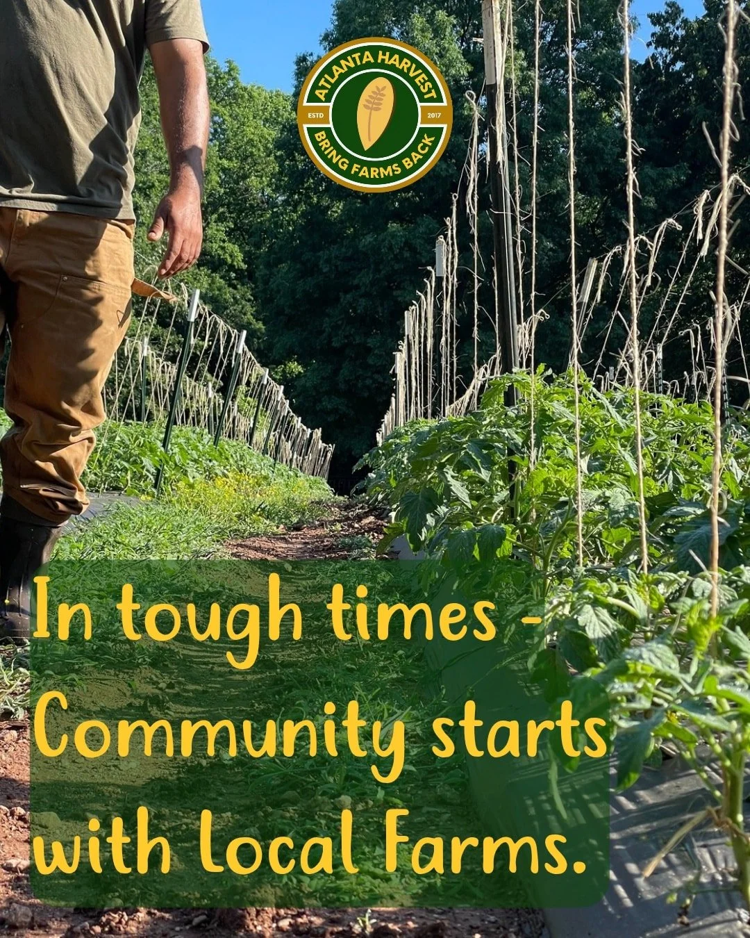 We&rsquo;ve all seen it &mdash; jobs lost, small businesses closing, prices climbing. It&rsquo;s easy to feel like the systems we rely on are slipping away.

But there&rsquo;s a bright spot close to home: local farms.

They keep fresh, seasonal produ