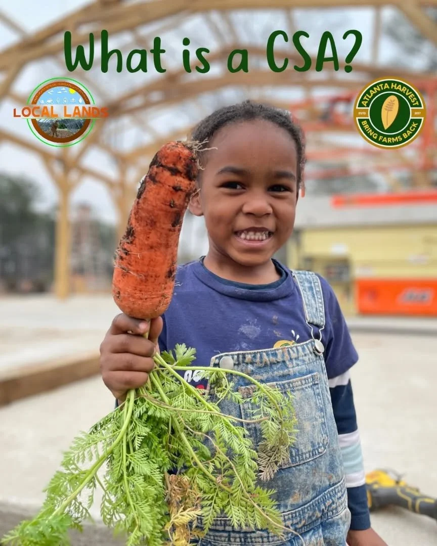 Join the Atlanta Harvest CSA!
Fresh. Local. Seasonal. Convenient.
A CSA (Community Supported Agriculture)  it&rsquo;s a partnership between you and our farm. You subscribe to get the freshest produce and farm goods while supporting local agriculture 