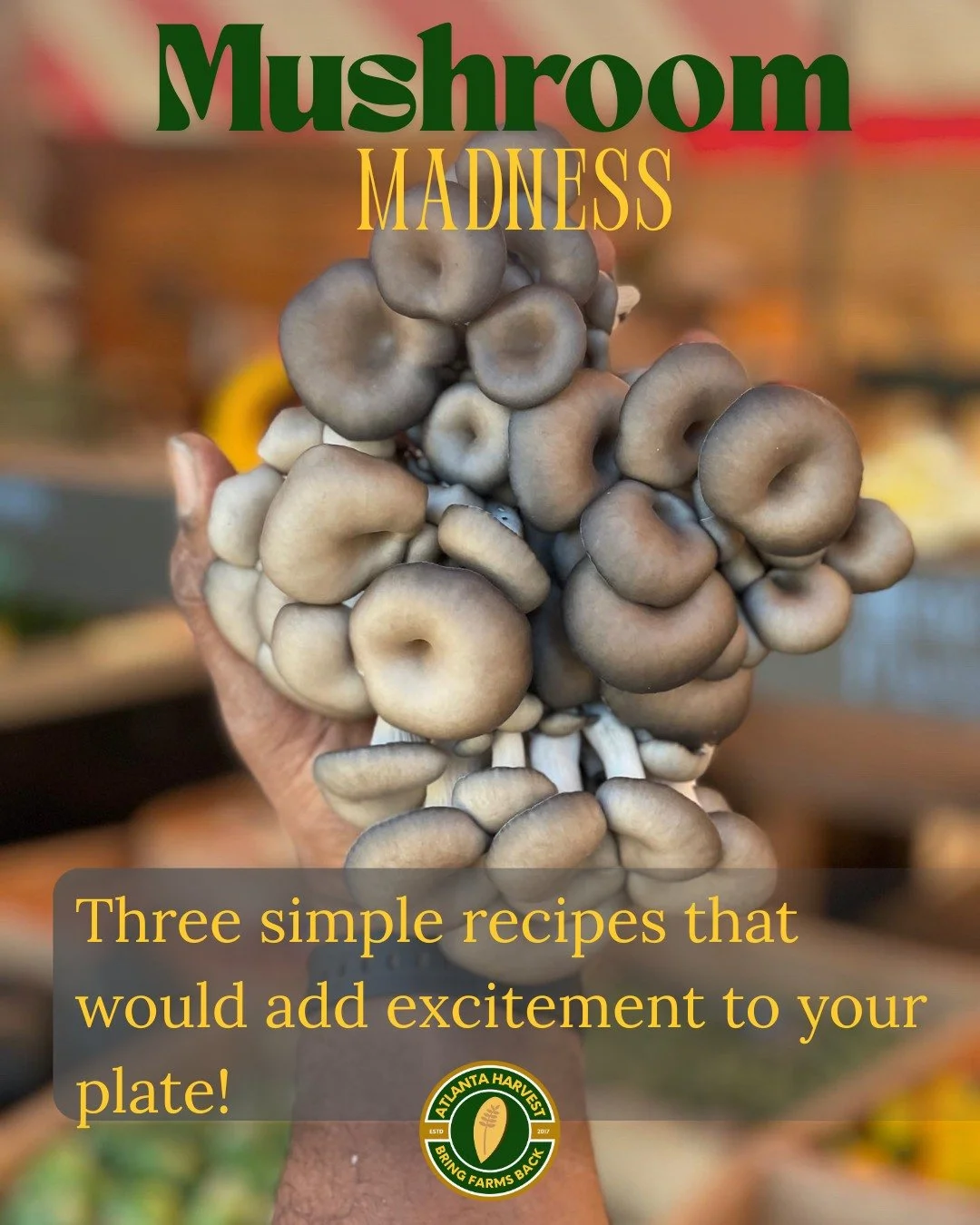 Here are three simple recipes that are guaranteed to add flavor to your day with our organically grown Mushrooms! 
1) Lion’s Mane Breakfast Hash
Tear Lion’s Mane into chunks.
Pan-fry with diced potatoes, onions, bell peppers, salt &