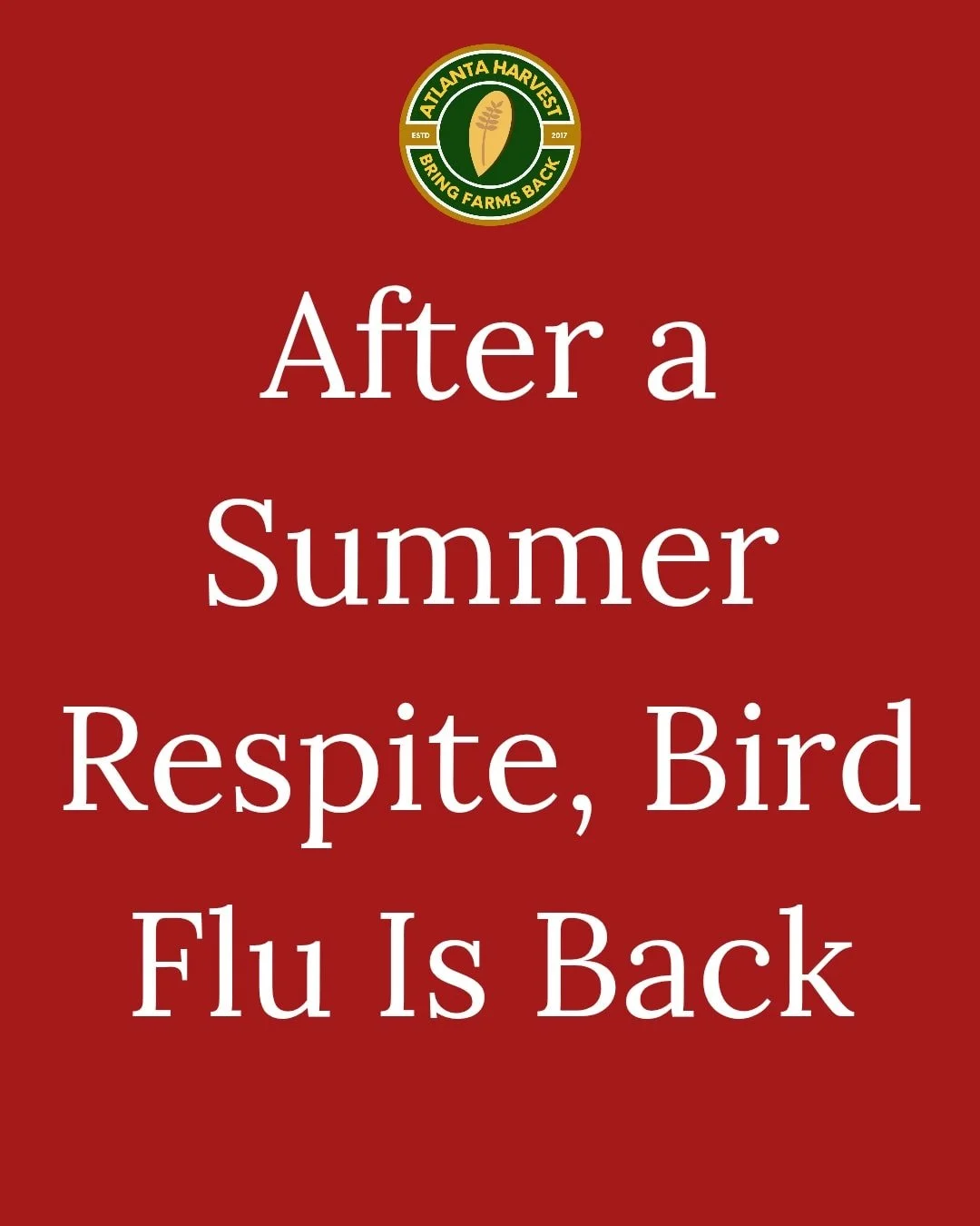 Bird flu is back, but we are ready! 
When the bird flu disrupted the egg supplies across the region, our farm kept delivering field grazed eggs consistently. 
Partner with a farm you can count on for steady, field grazed eggs all year long.  We got