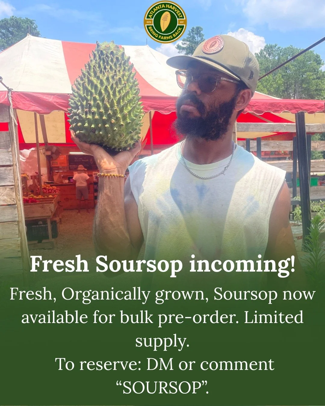 Fresh Soursop incoming! ๐
We’re taking wholesale pre-orders now. Limited weekly supply.
Comment SOURSOP for more information! 
๐shop.atlantaharvest.com
3529 Anvil Block Rd, Ellenwood, GA
Sunday through Friday 11am to 6pm **CLOSED ON SATURDA