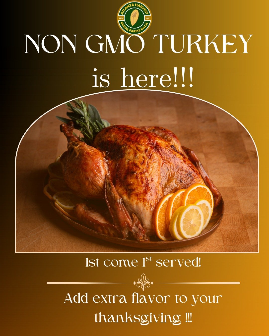 Our Non-GMO turkeys just landed at Atlanta Harvest! 🦃✨
If you want a Thanksgiving turkey that&rsquo;s juicy, clean, deeply flavorful , and raised without GMOs or unwanted additives , this is the bird that makes your table stand out.
The kind of turk