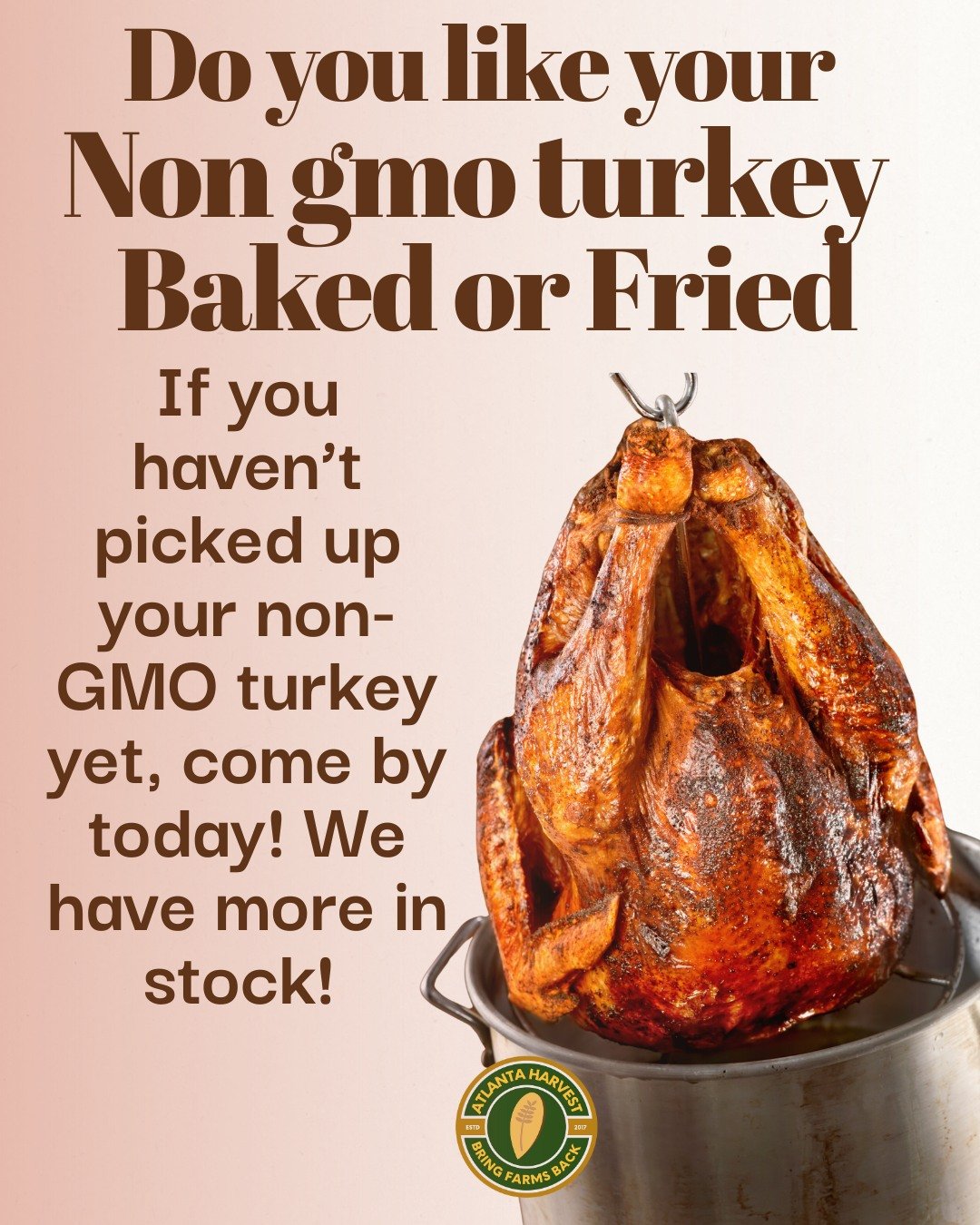 Thanksgiving is almost here&hellip; so let&rsquo;s settle this debate: baked or fried turkey? 👀
Drop your answer below!
If you haven&rsquo;t picked up your non-GMO turkey yet, we&rsquo;ve got more in stock today.
Fresh, clean, and ready for your hol