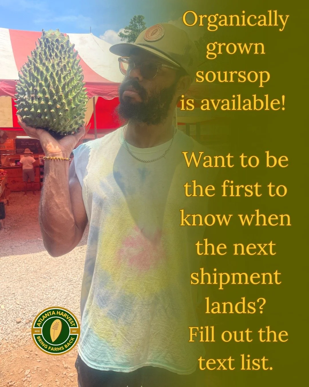 Not all soursop is equal.
Soursop is known as an anti-cancer fruit, yet most of the soursop sold around Atlanta is sprayed with cancer-causing toxins.
So what&rsquo;s the point of buying a healing fruit if it&rsquo;s covered in chemicals that harm yo