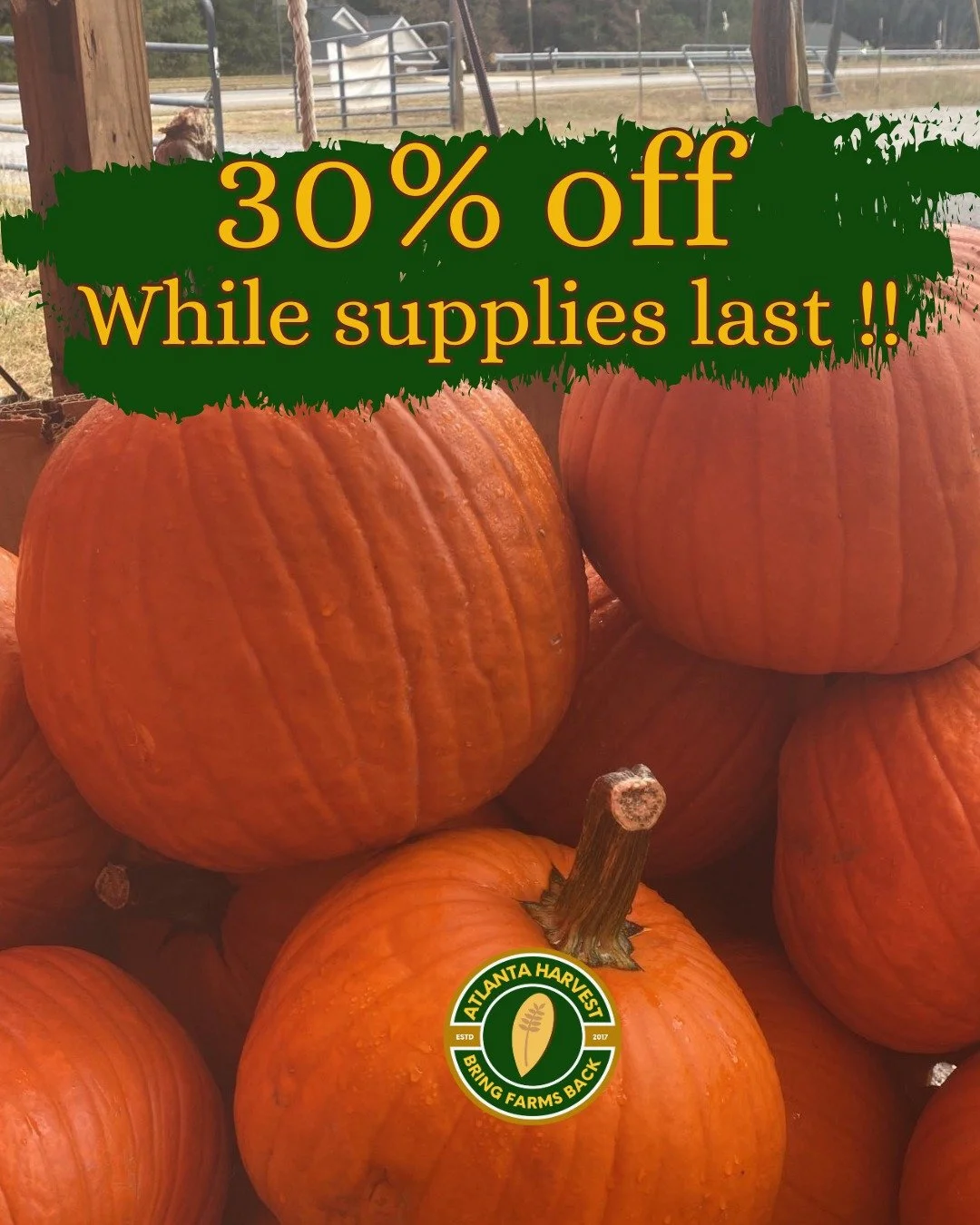 Thanksgiving had us in a chokehold 😅
and now we&rsquo;re all in that &ldquo;eat clean before Christmas chaos hits&rdquo; era.

So here&rsquo;s your pre-holiday glow-up fuel:
Apples for juicing
 Yogurt
Pumpkins
Winter squash

ALL 30% OFF this week at