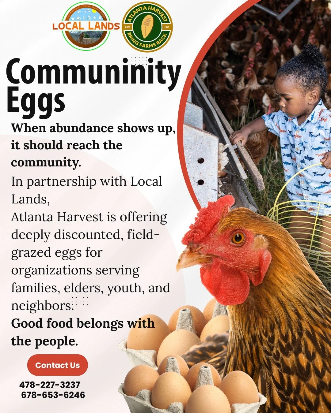 Some seasons bring just enough.
Some seasons bring abundance.

Right now, our partners at Local Lands have an abundance of field-grazed, pasture-raised eggs&mdash;hens raised outdoors, on pasture, living as they should. And when there is plenty, we b