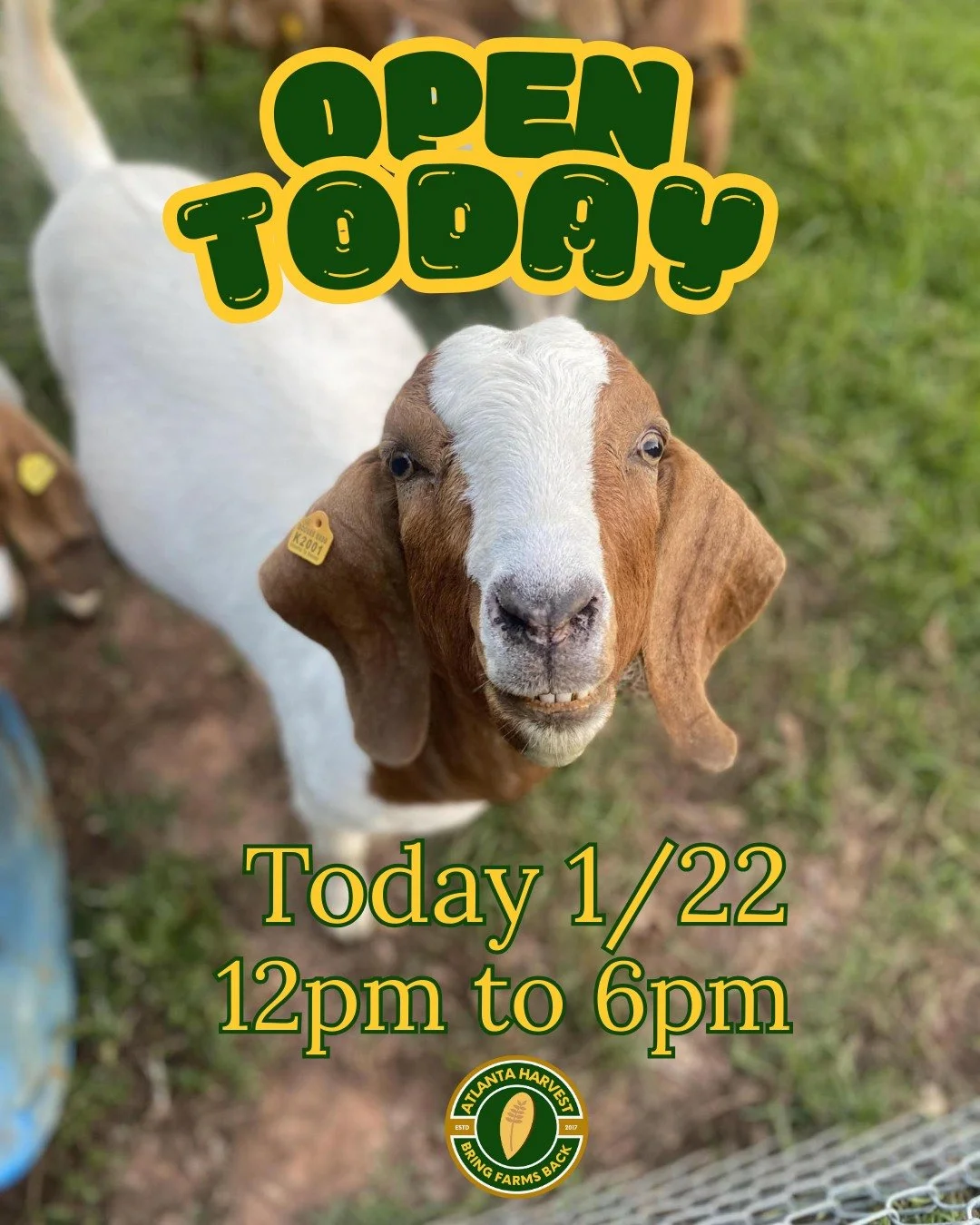 We&rsquo;re open today. 🐐

Fresh food, familiar faces, and pasture-raised goodness waiting for you.
Stop by today - Thursday, 11am&ndash;6pm and see what&rsquo;s available this week.

📍 3529 Anvil Block Rd, Ellenwood, GA
🛒 shop.atlantaharvest.com

