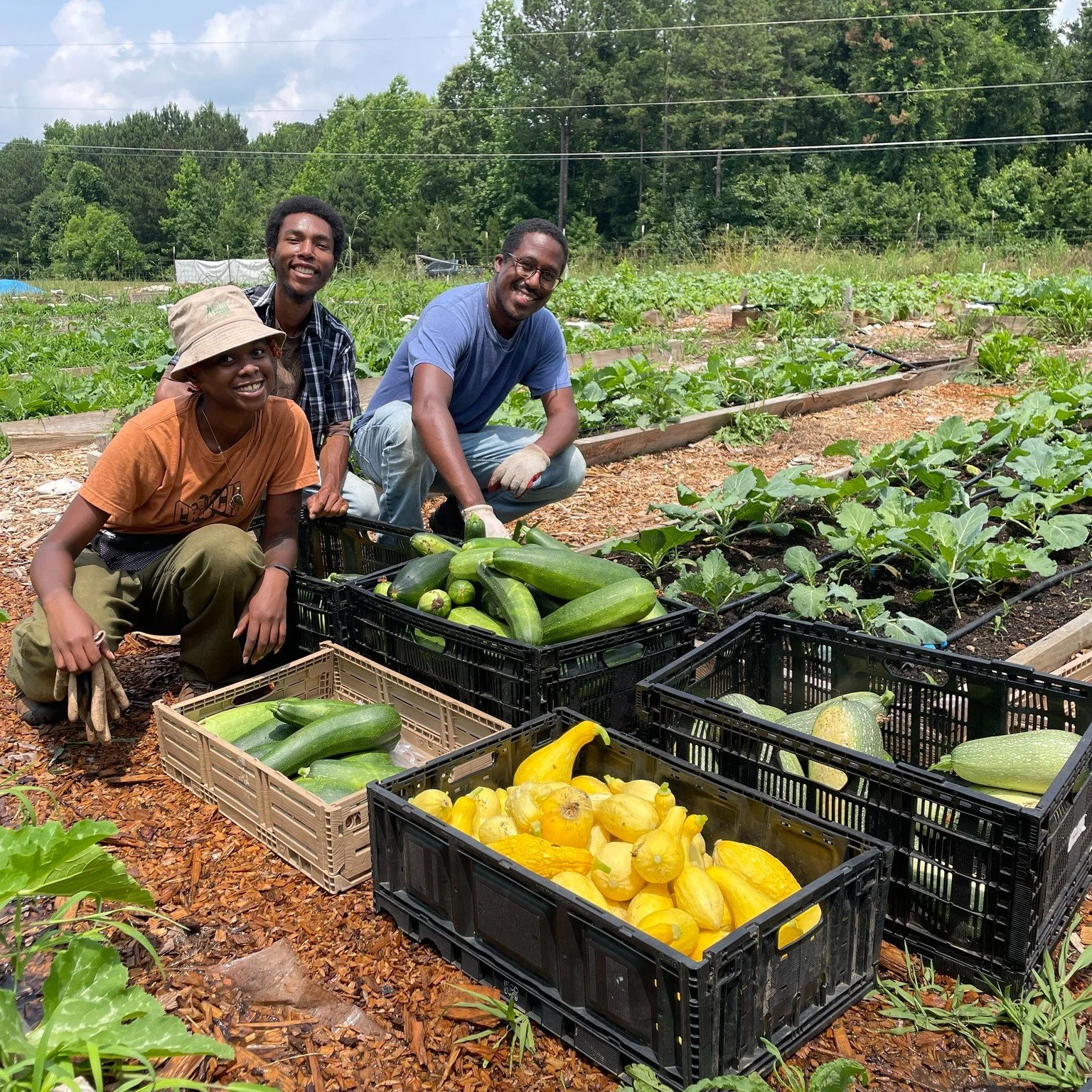 Throwback to warmer days and full harvest baskets 

Watching students leave here confident enough to start their own gardens&hellip; that never gets old.

We host classes throughout the year for anyone ready to learn how to grow their own food. And i