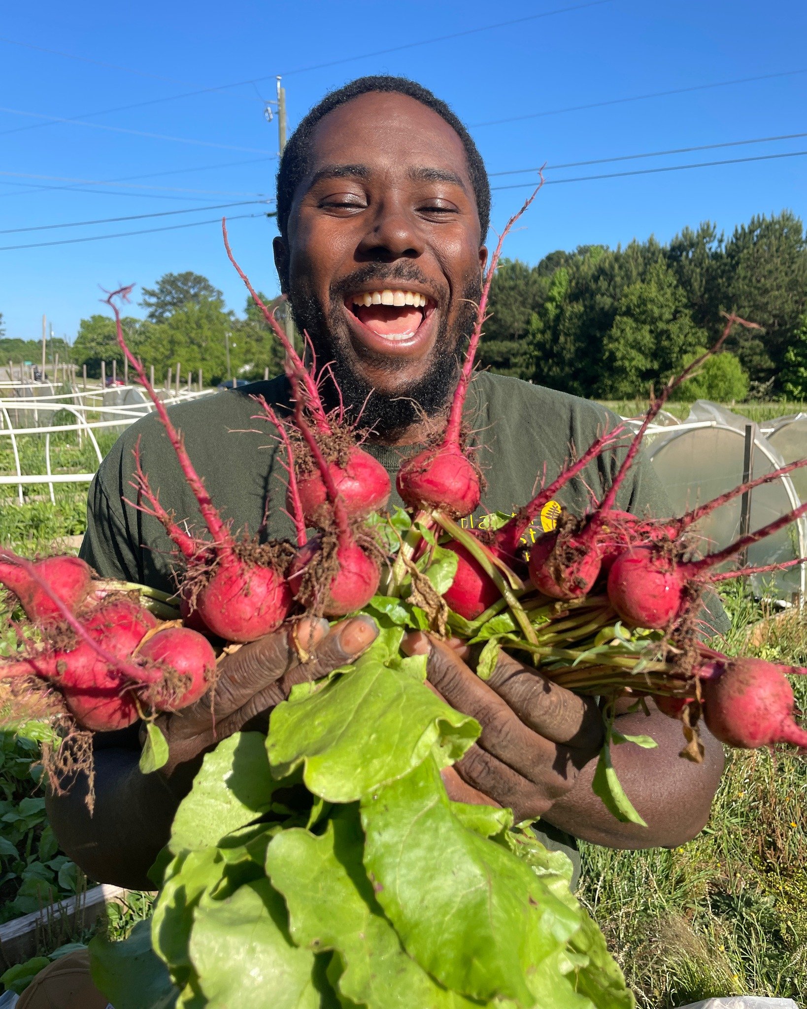 Everything is stocked up for the week.

If you&rsquo;ve been meaning to reset your meals&hellip; simplify your shopping&hellip; eat food that actually feels good in your body&hellip; this is your sign.

Order online and have it ready for pickup.
Or j