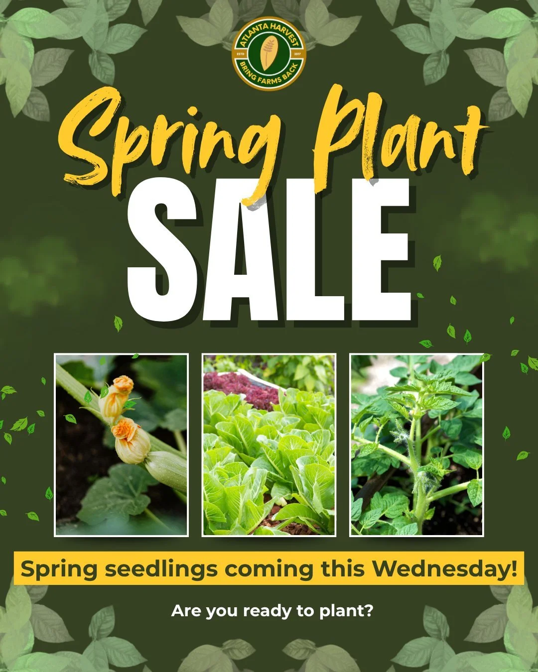 Spring is here! The earth is warm and ready for new life. 
Are you ready to put your roots down? 

We will have spring seedlings from Wednesday , April 1st.
Come get yours! 

We&rsquo;re here all week now&hellip; come through !!!

Atlanta Harvest
352